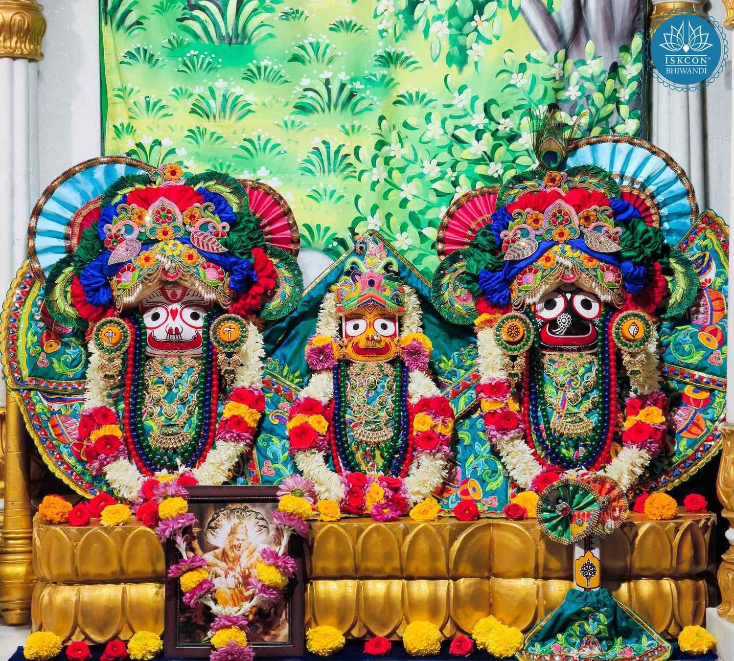 Sringar Darshan photo 2 of 12 — 28 January 2026