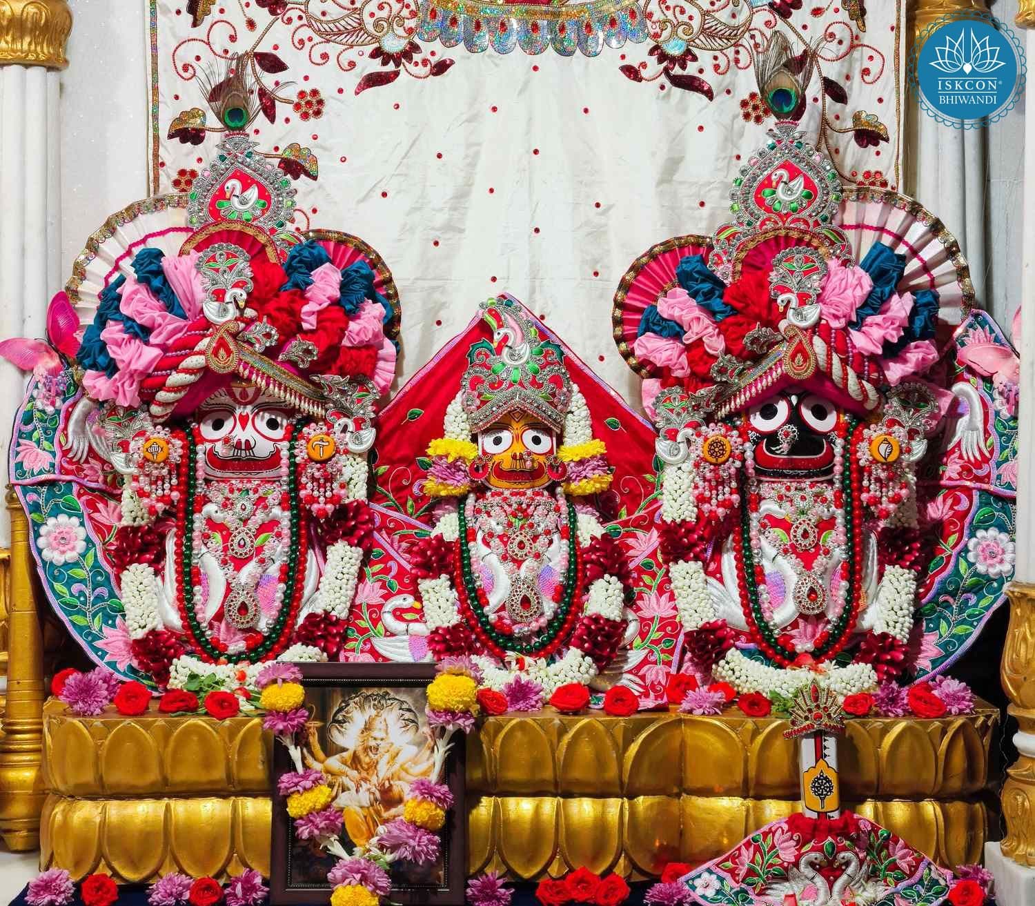 Sringar Darshan photo 2 of 12 — 29 January 2026
