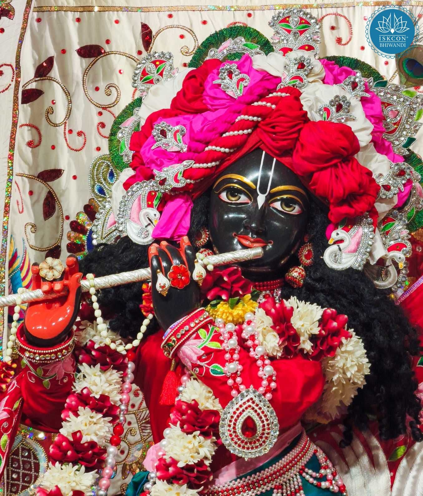 Sringar Darshan photo 11 of 12 — 29 January 2026