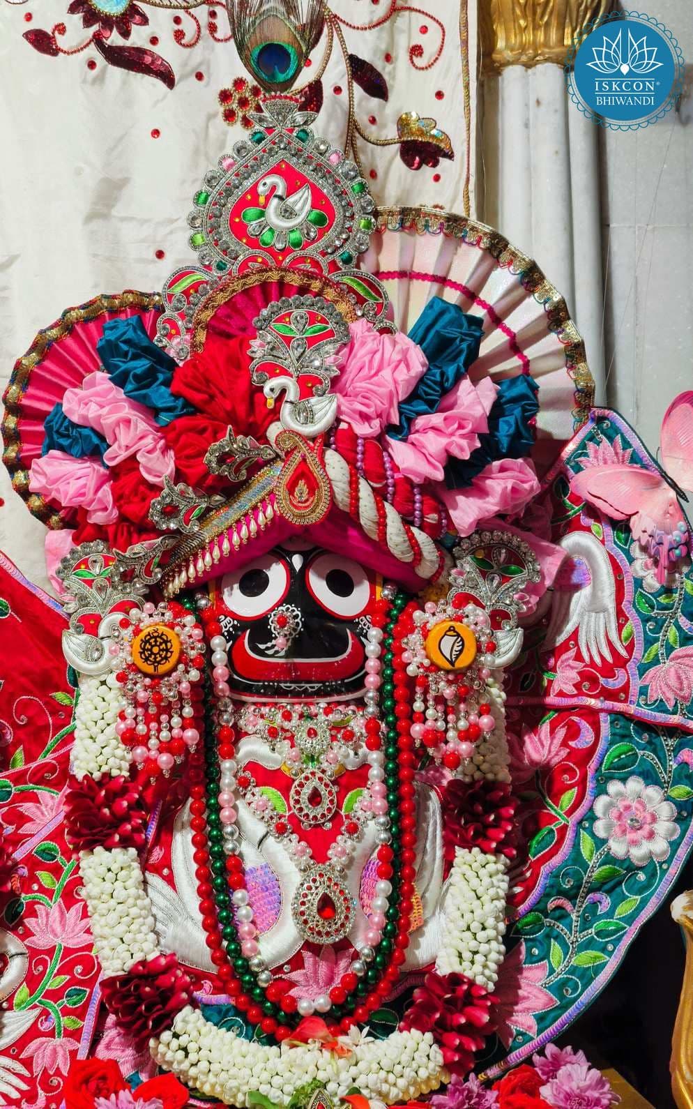 Sringar Darshan photo 5 of 12 — 29 January 2026