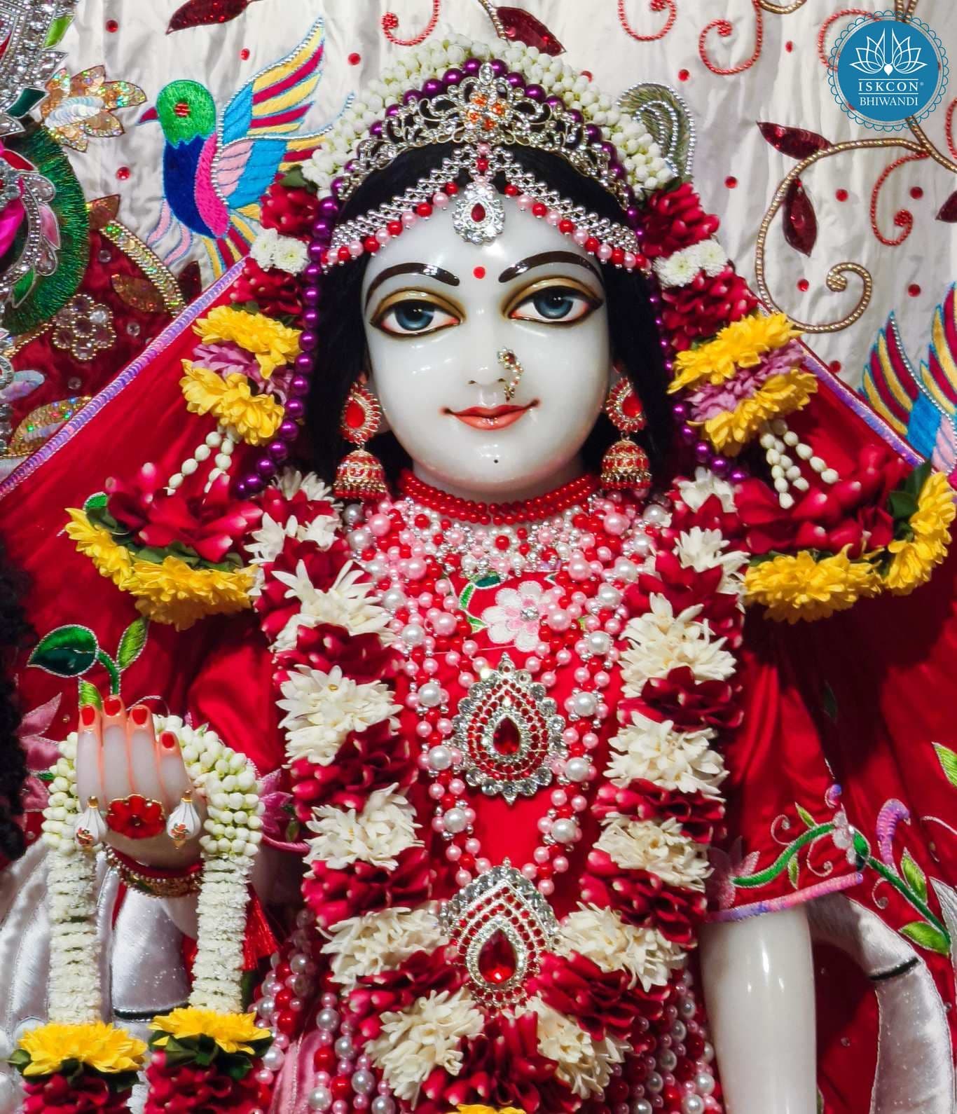 Sringar Darshan photo 12 of 12 — 29 January 2026