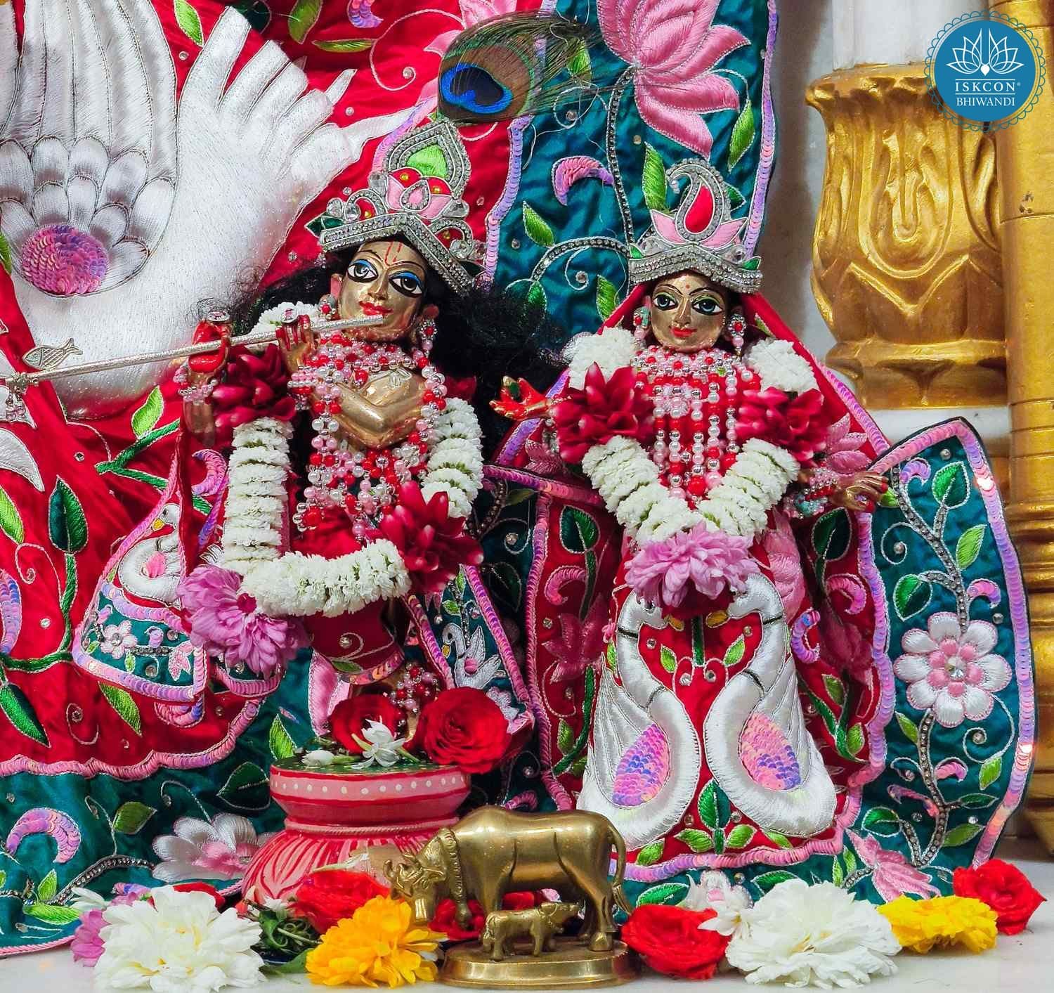 Sringar Darshan photo 10 of 12 — 29 January 2026