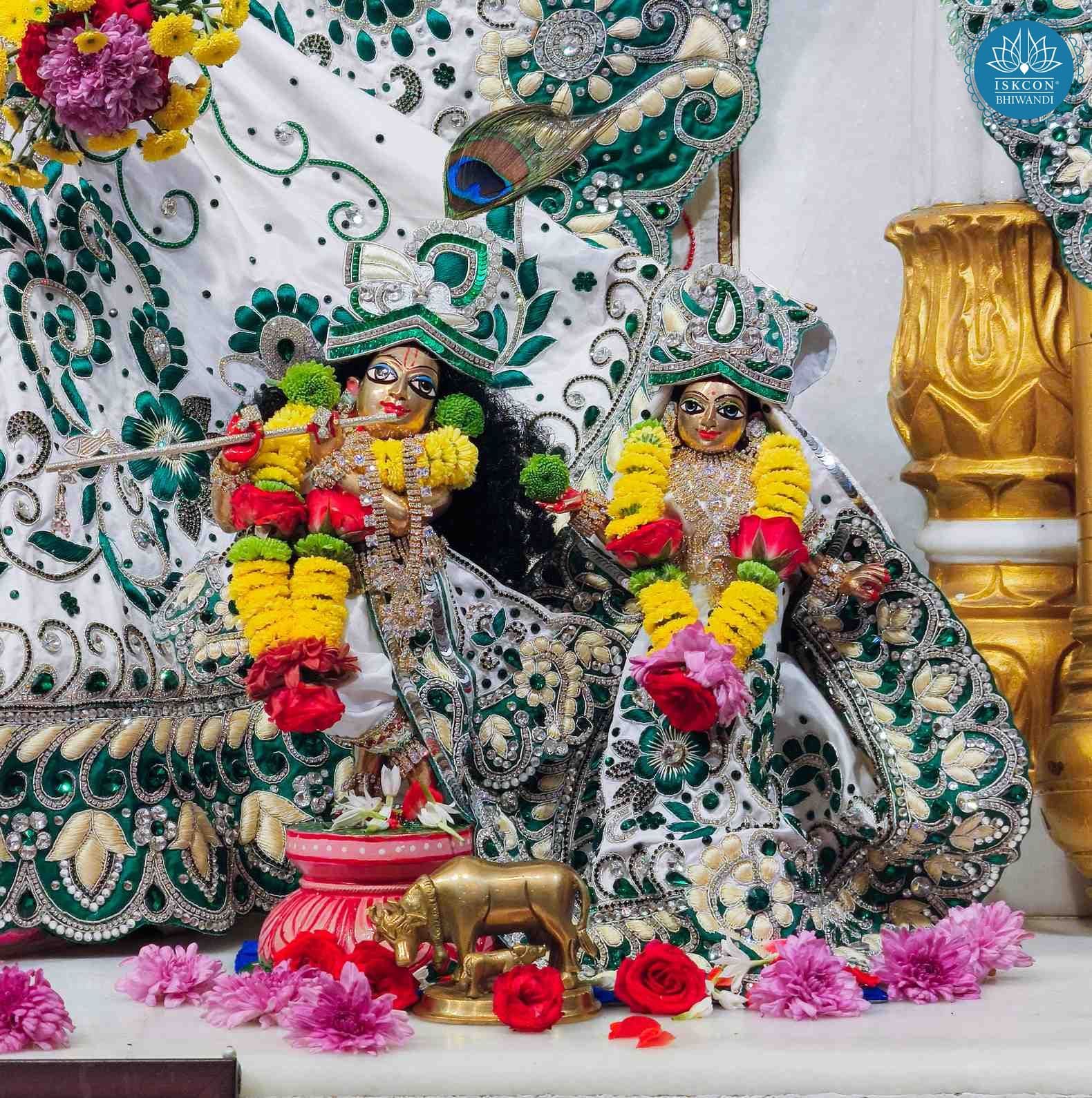 Sringar Darshan photo 10 of 12 — 30 January 2026