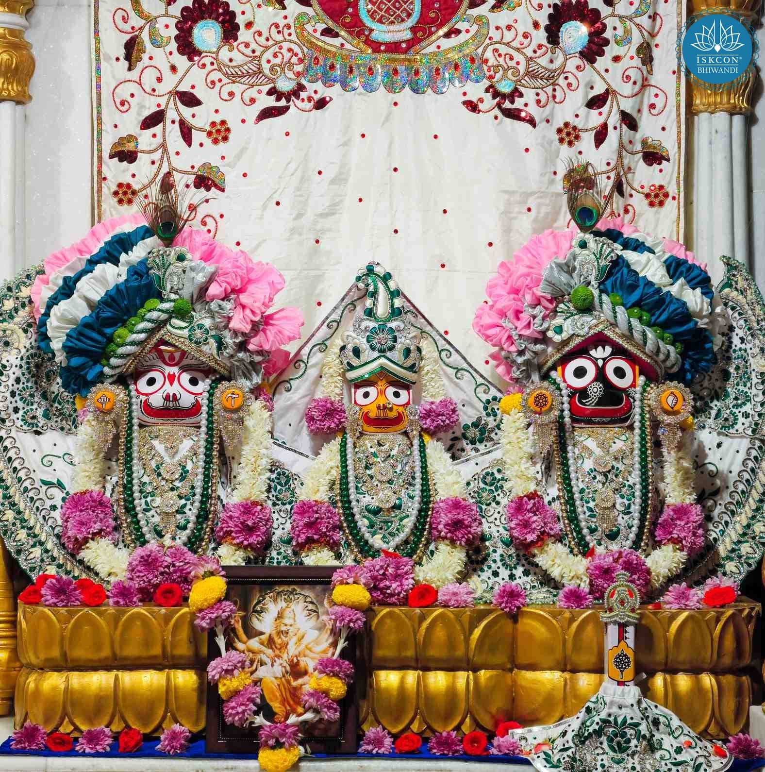 Sringar Darshan photo 2 of 12 — 30 January 2026