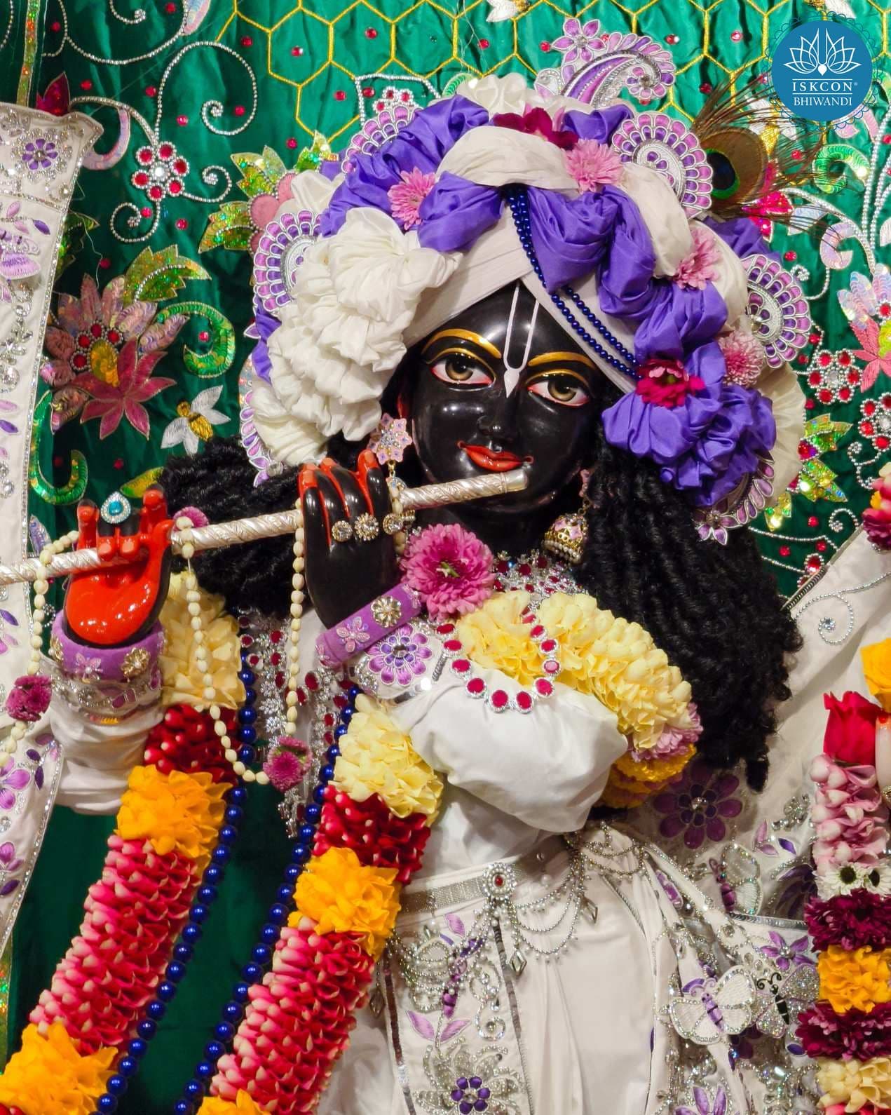 Sringar Darshan photo 11 of 12 — 31 January 2026