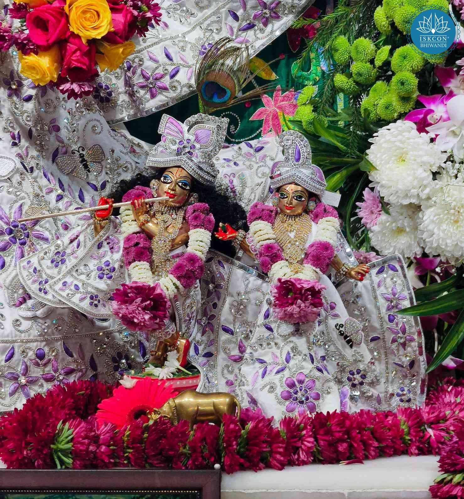 Sringar Darshan photo 10 of 12 — 31 January 2026