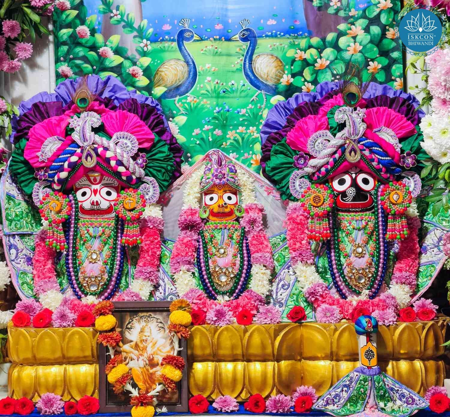 Sringar Darshan photo 2 of 12 — 1 February 2026