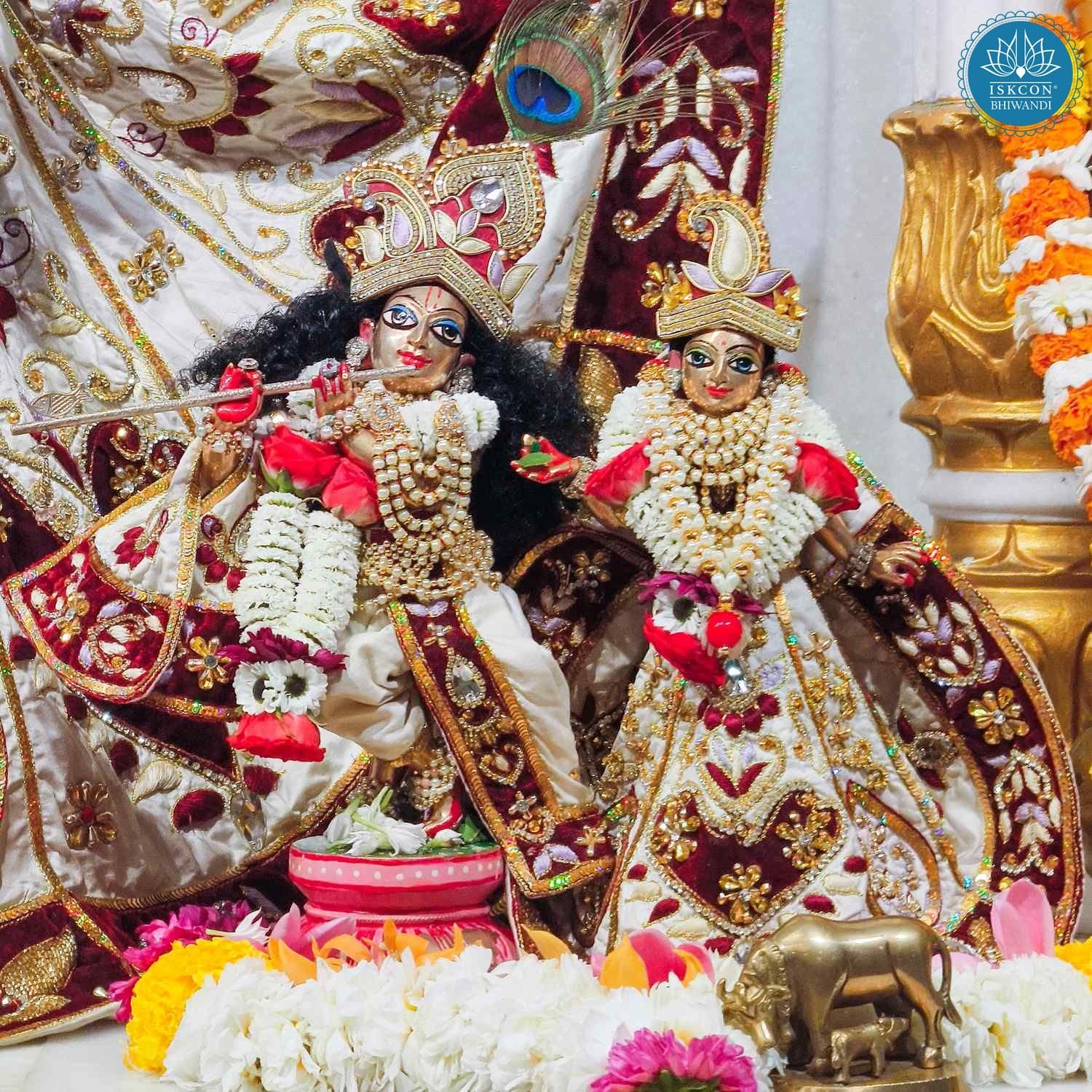 Sringar Darshan photo 10 of 12 — 2 February 2026