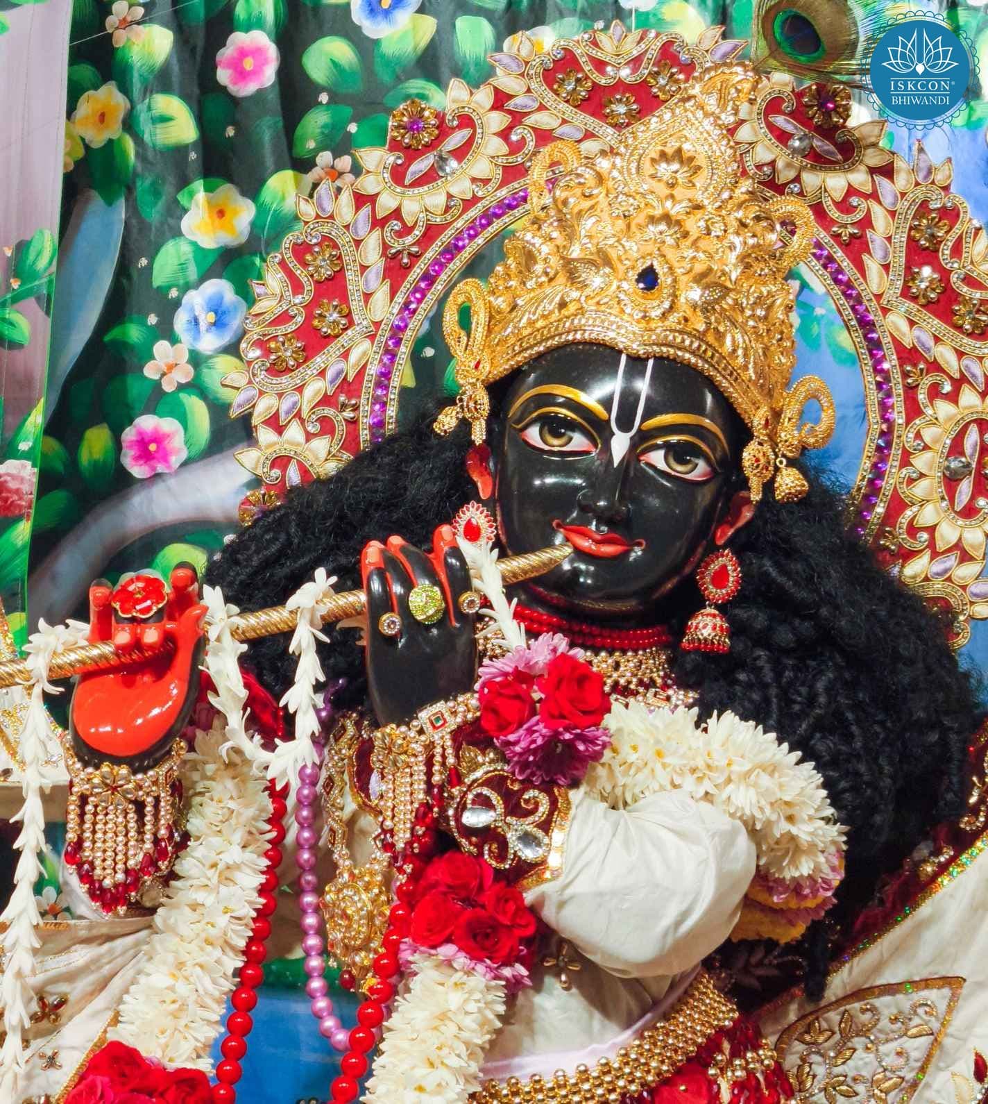 Sringar Darshan photo 11 of 12 — 2 February 2026