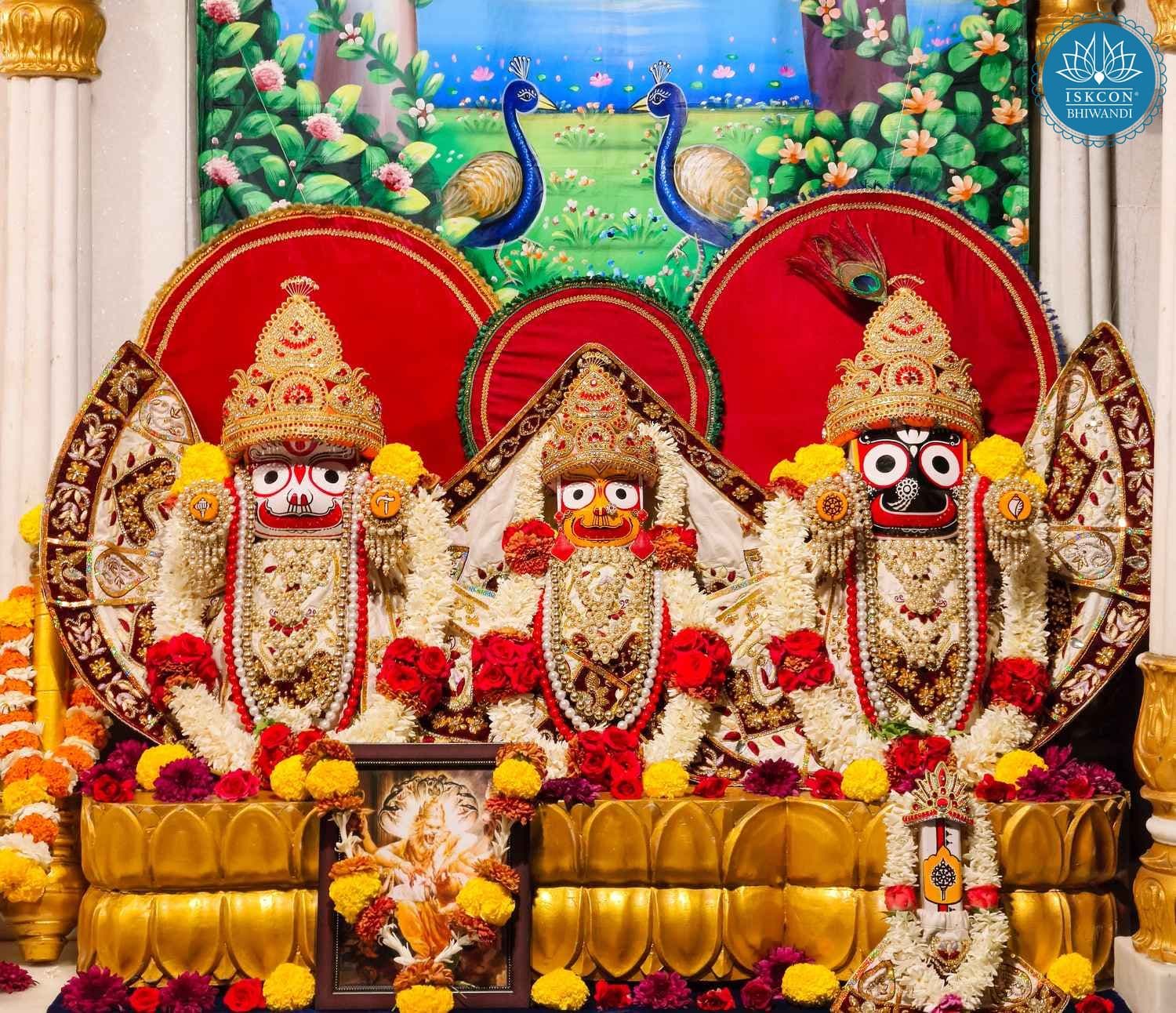 Sringar Darshan photo 2 of 12 — 2 February 2026
