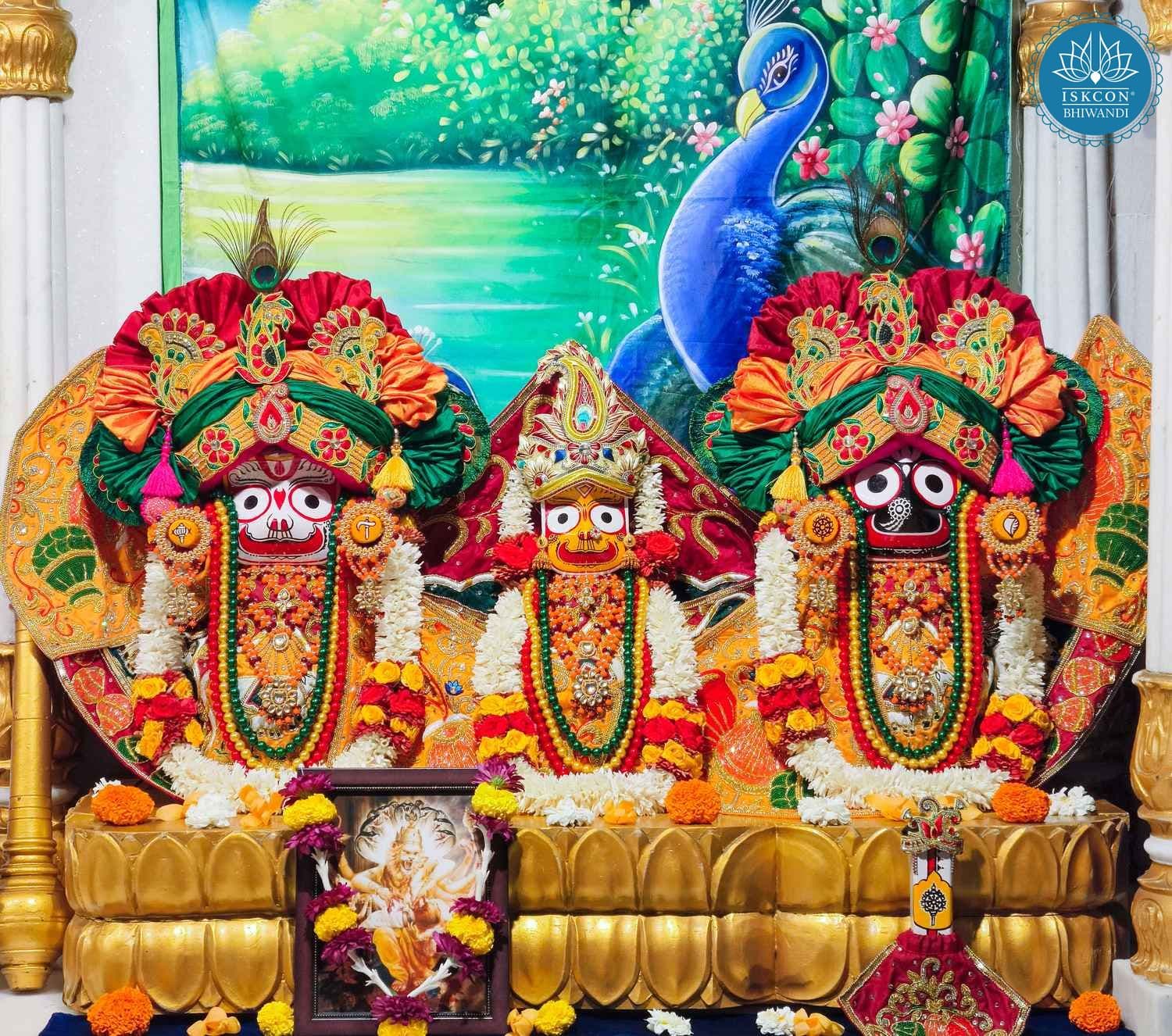 Sringar Darshan photo 2 of 12 — 3 February 2026