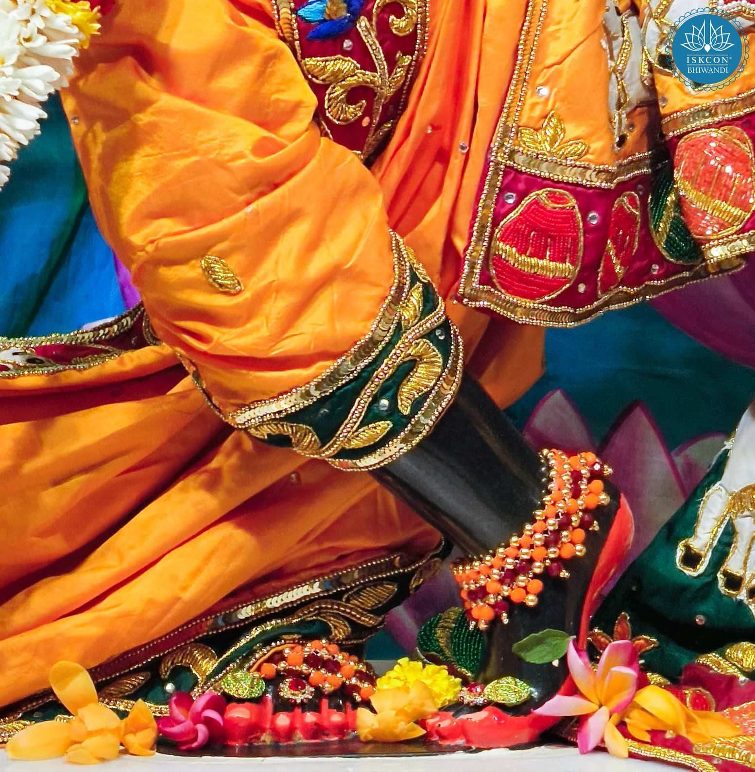 Sringar Darshan photo 6 of 12 — 3 February 2026