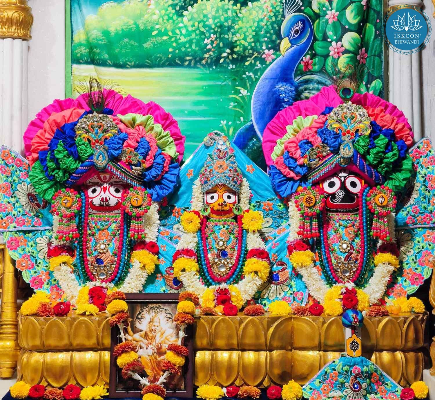 Sringar Darshan photo 2 of 12 — 4 February 2026