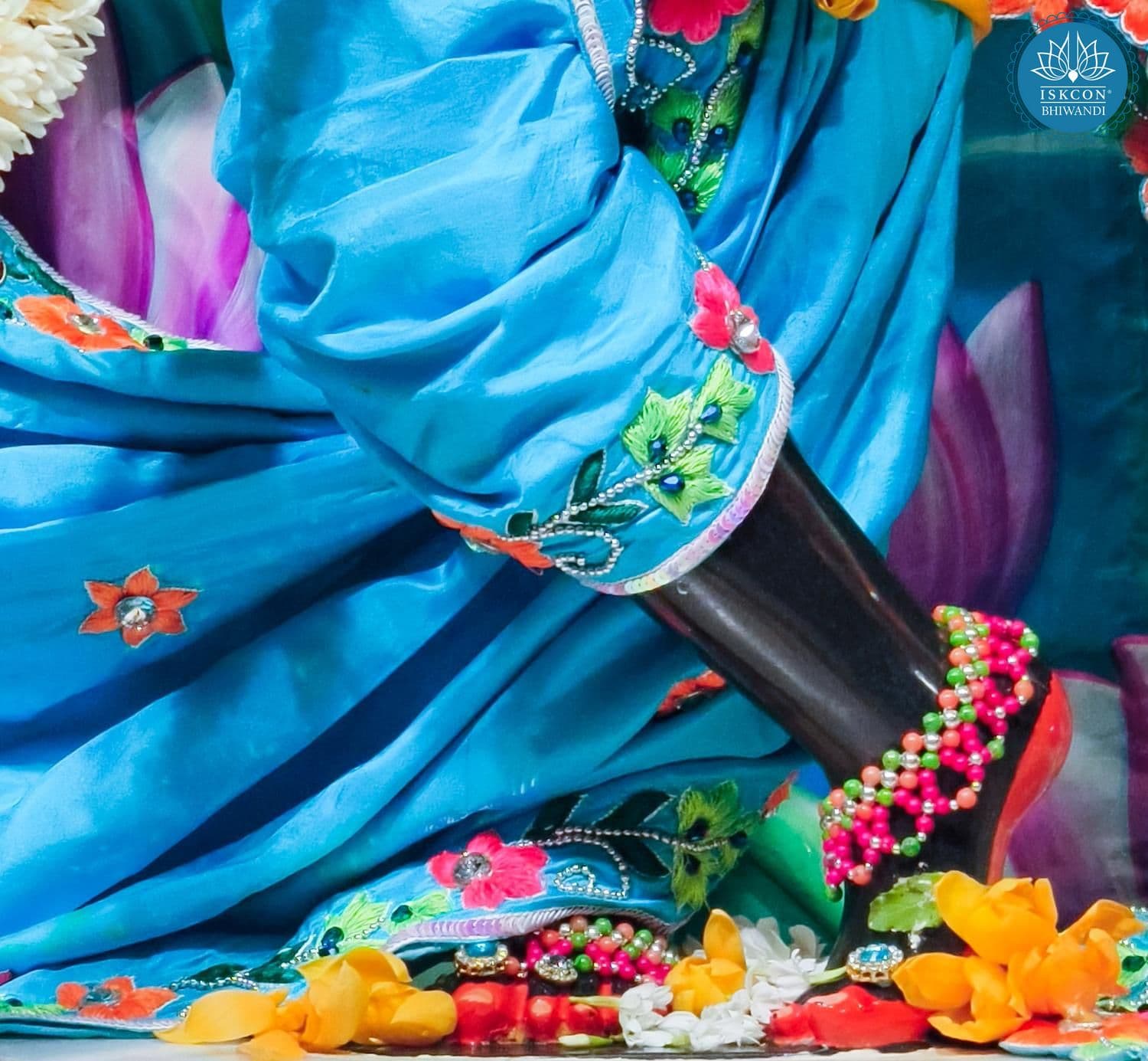 Sringar Darshan photo 11 of 12 — 4 February 2026