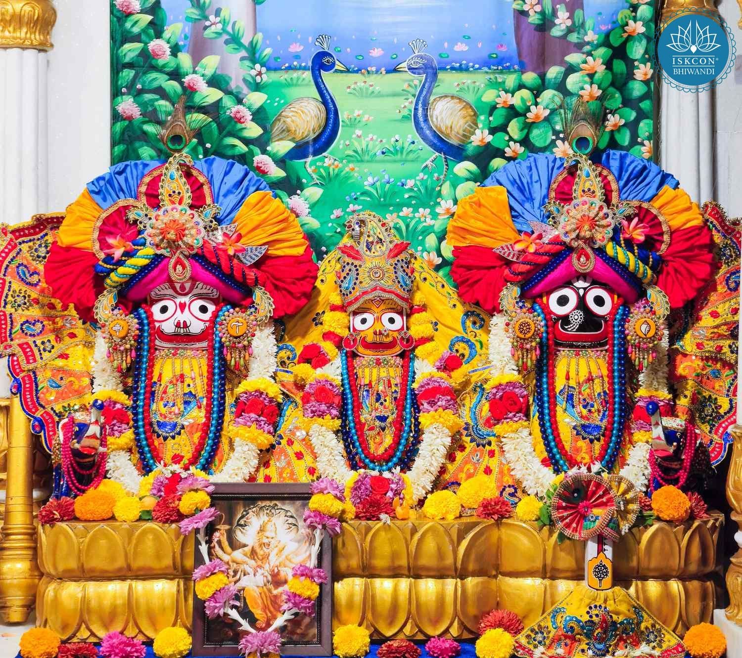 Sringar Darshan photo 2 of 12 — 5 February 2026