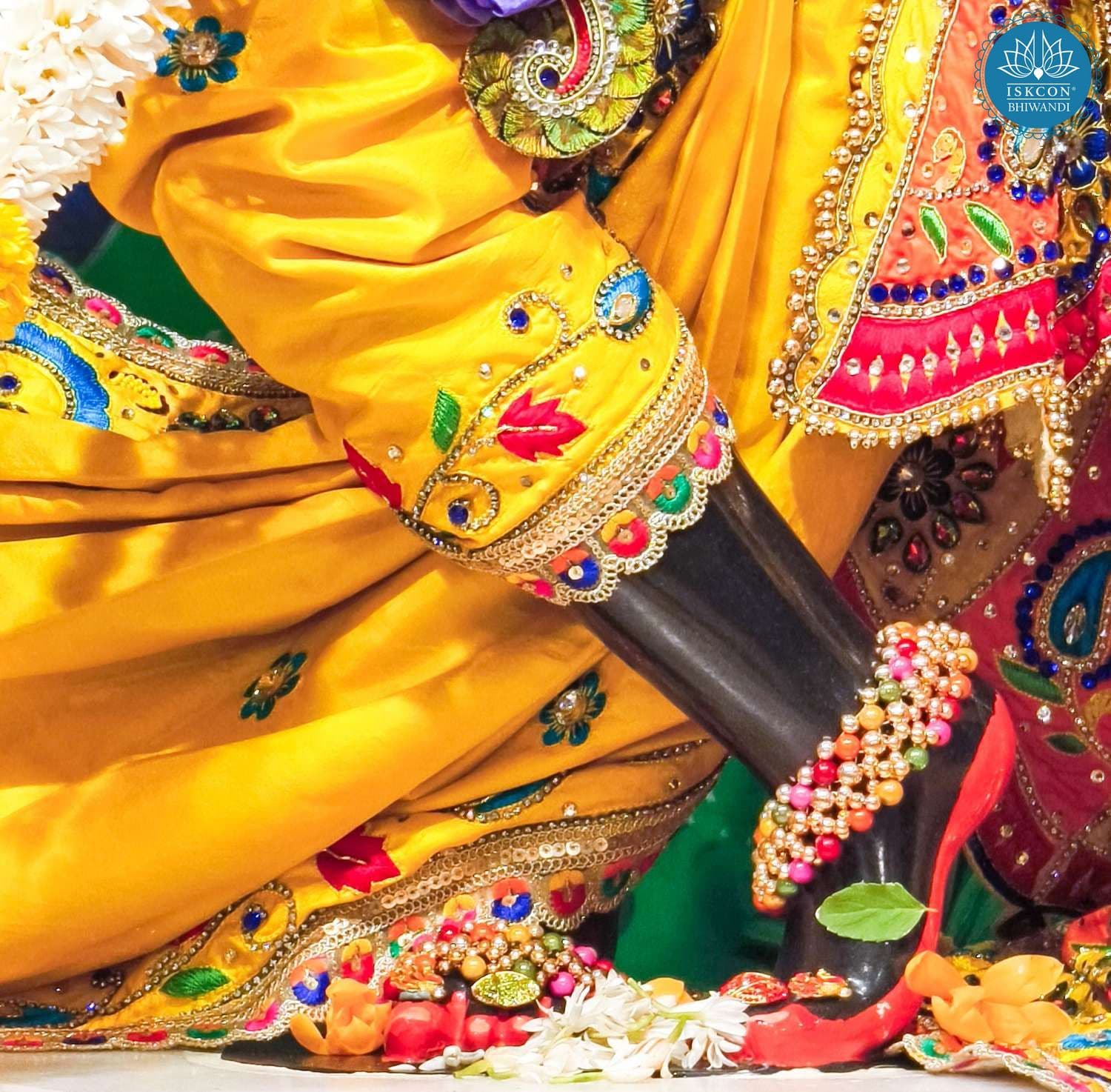 Sringar Darshan photo 12 of 12 — 5 February 2026
