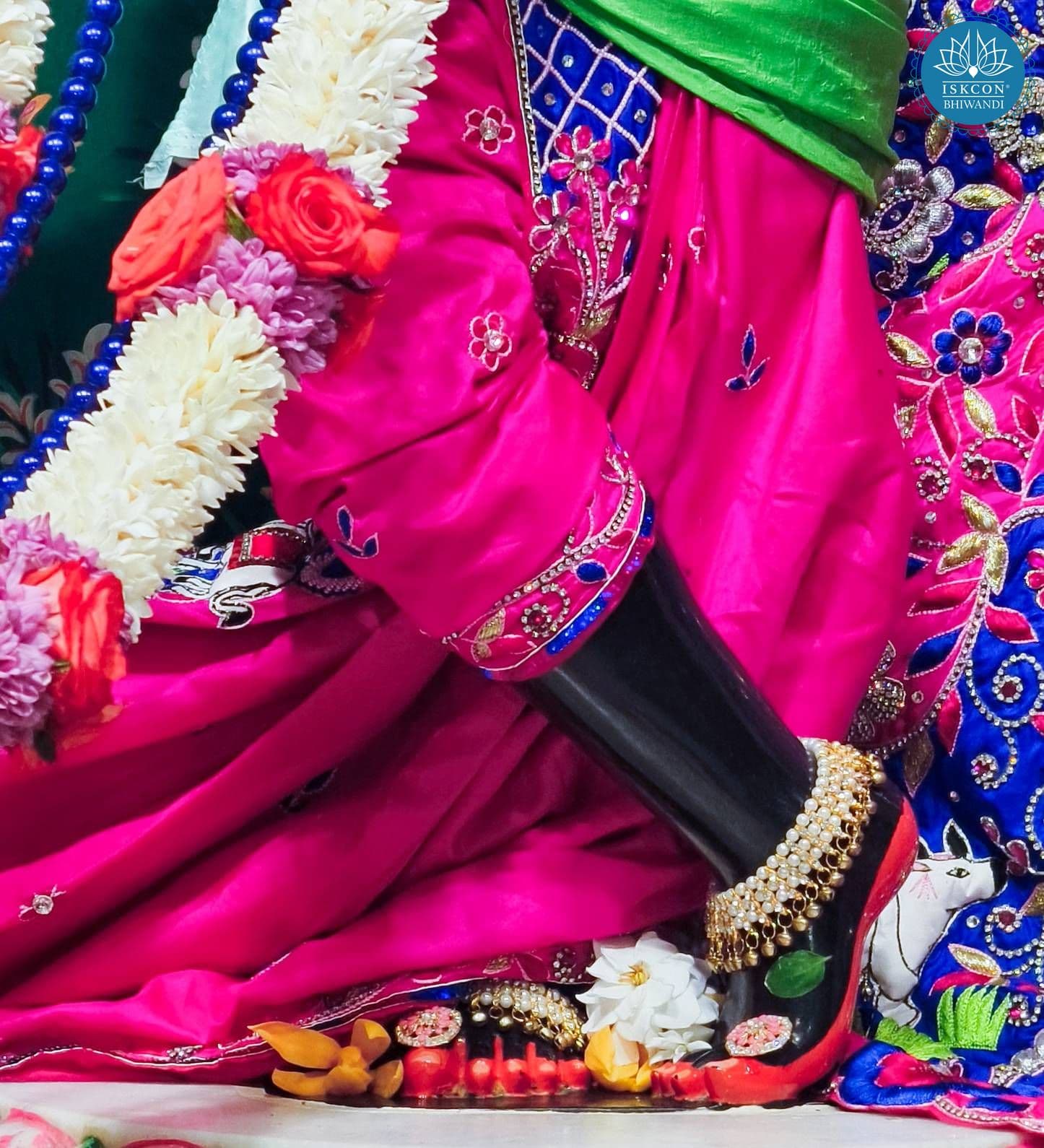 Sringar Darshan photo 10 of 12 — 6 February 2026