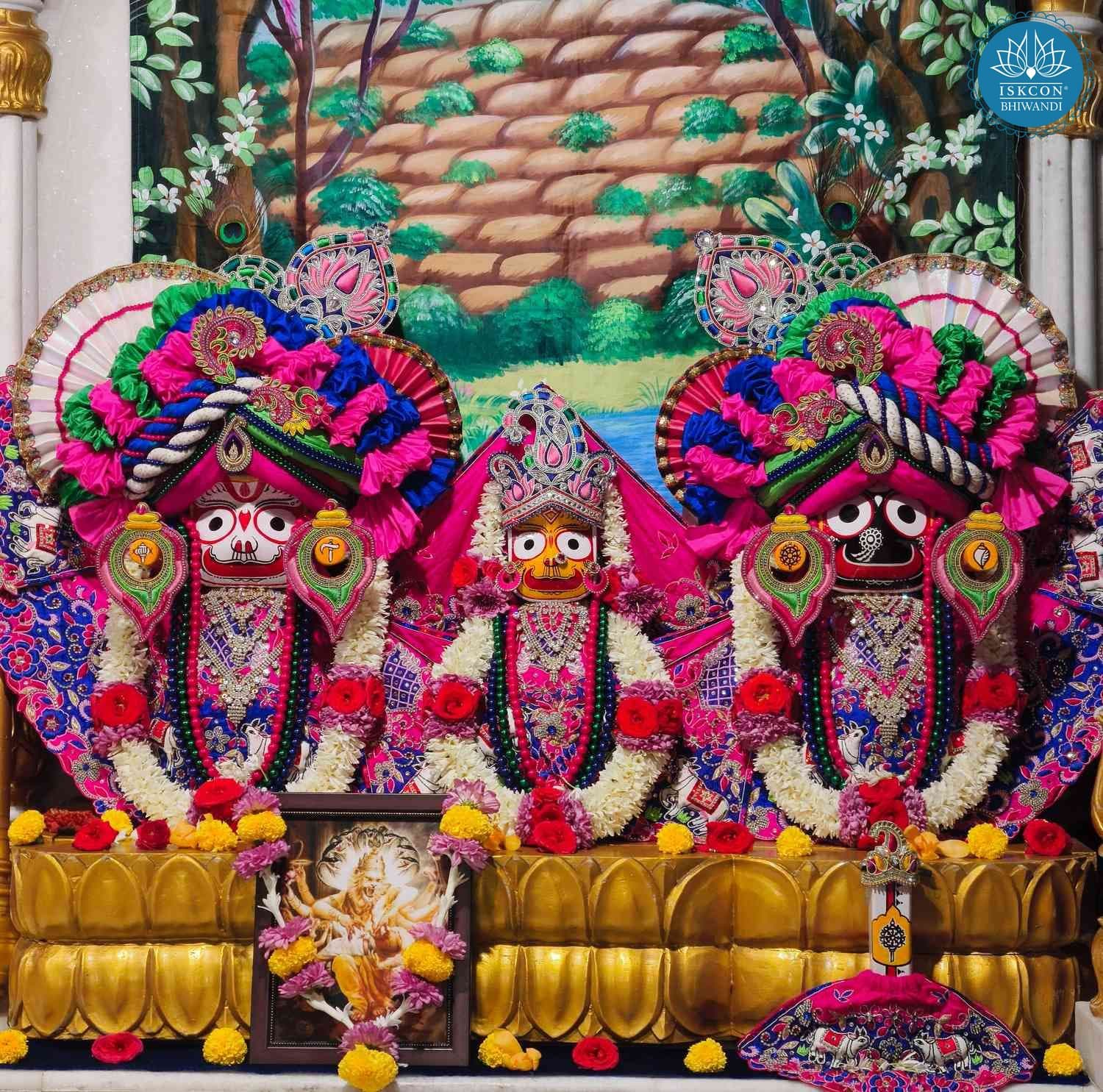 Sringar Darshan photo 5 of 12 — 6 February 2026