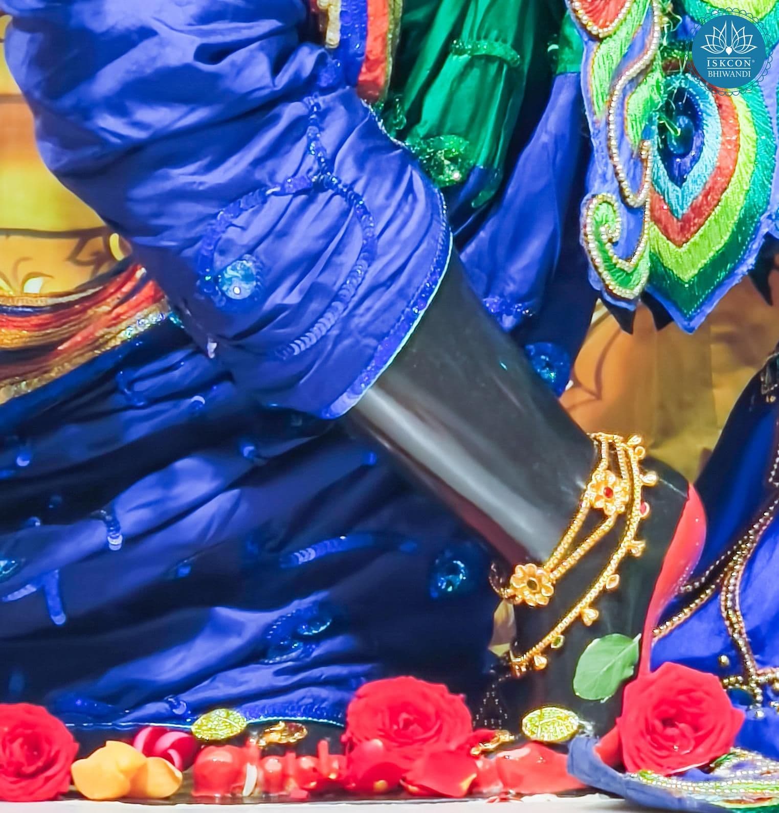 Sringar Darshan photo 11 of 12 — 7 February 2026