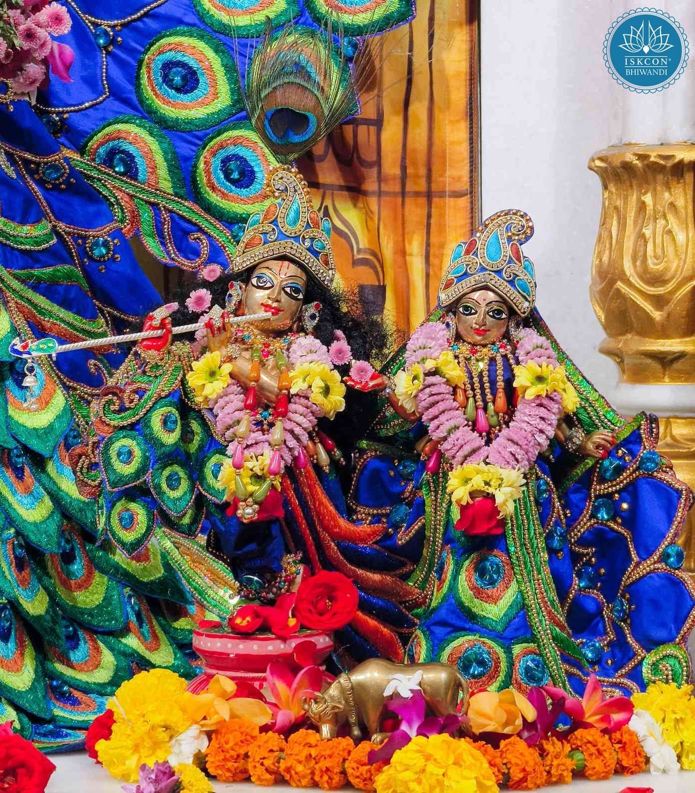 Sringar Darshan photo 9 of 12 — 7 February 2026