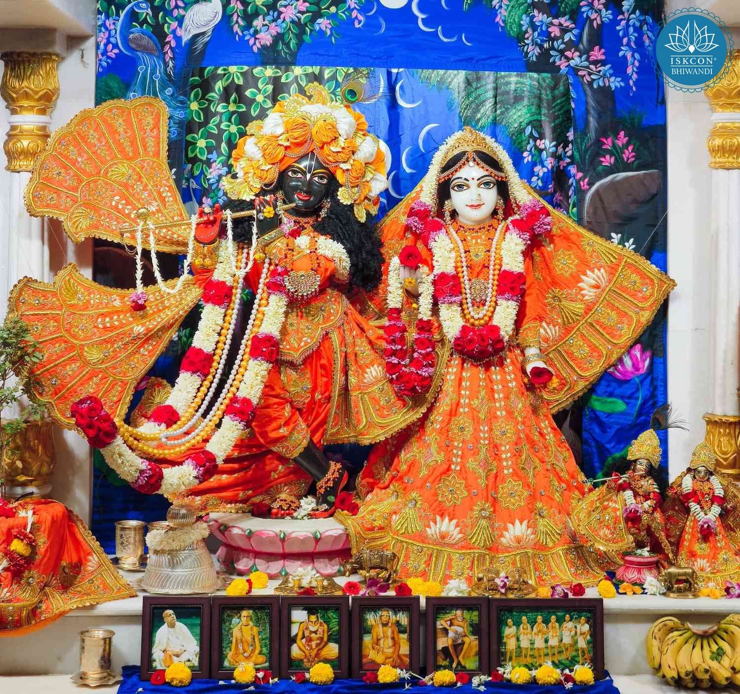 Sringar Darshan photo 1 of 12 — 8 February 2026