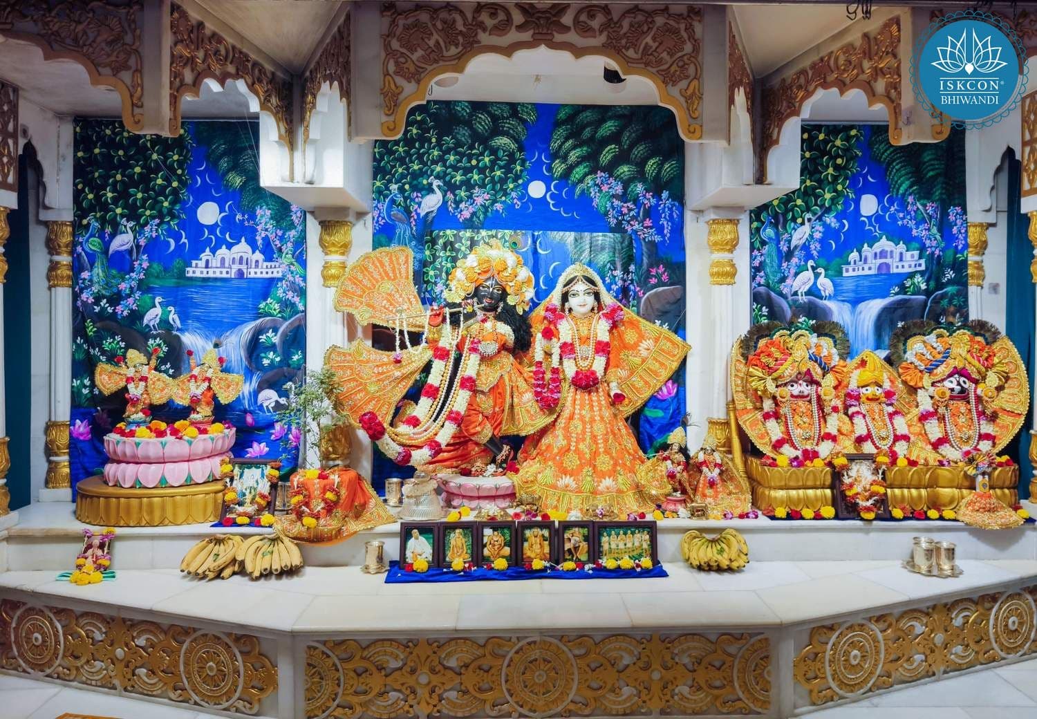 Sringar Darshan photo 5 of 12 — 8 February 2026