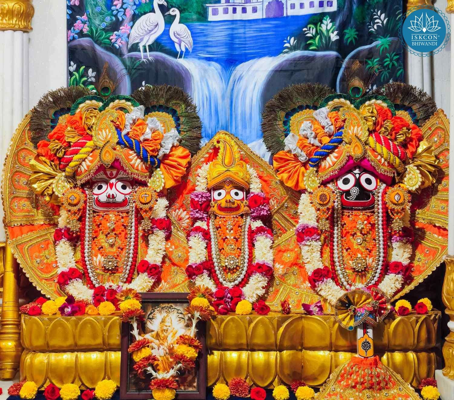 Sringar Darshan photo 4 of 12 — 8 February 2026