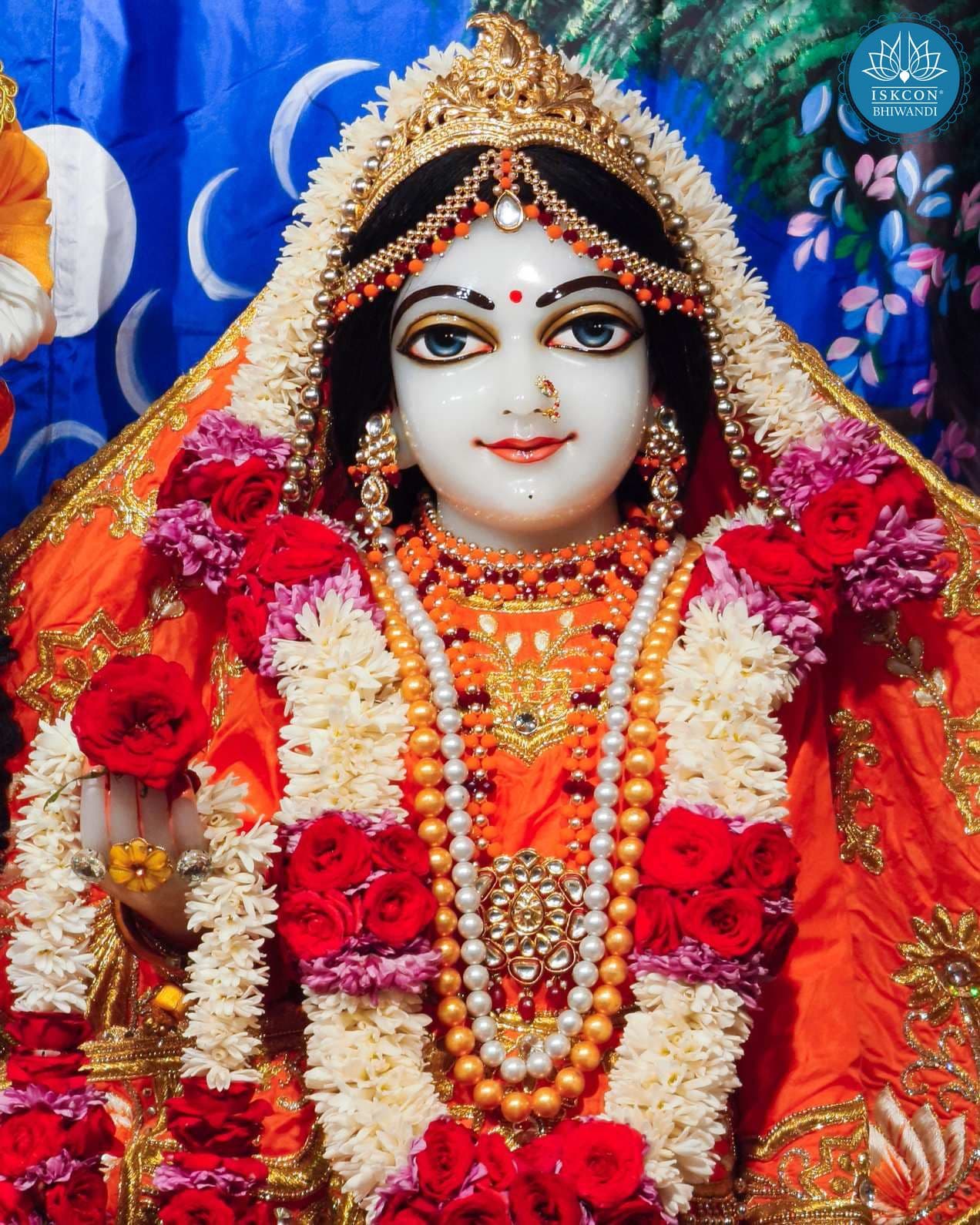 Sringar Darshan photo 12 of 12 — 8 February 2026