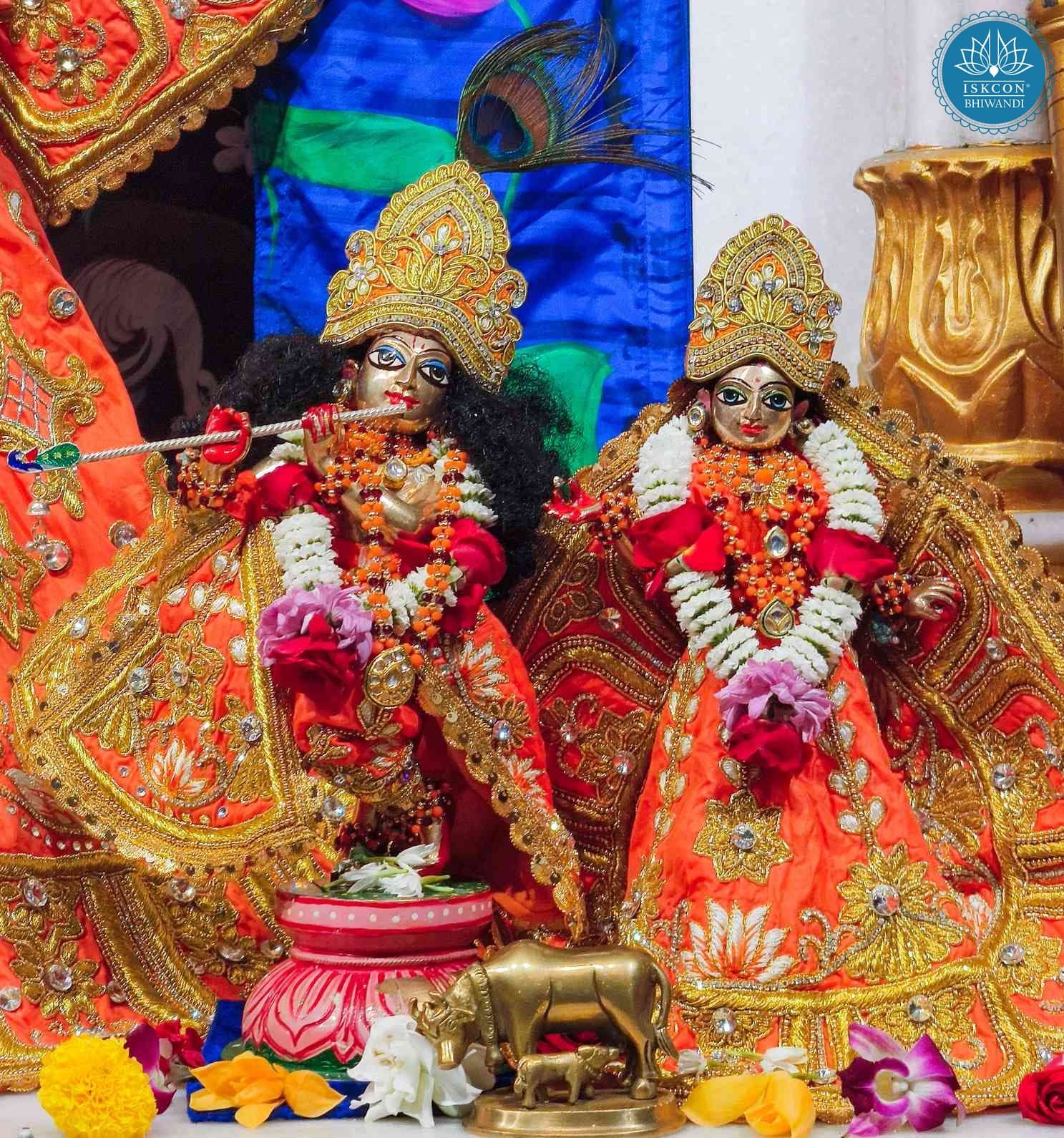 Sringar Darshan photo 10 of 12 — 8 February 2026