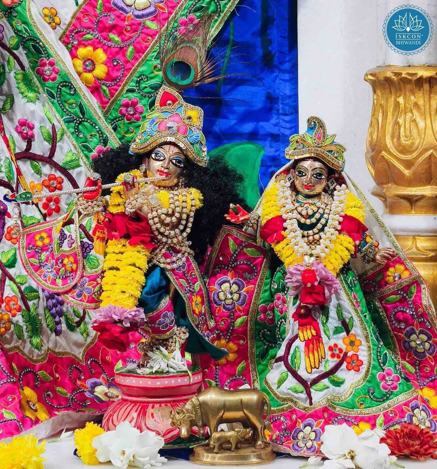 Sringar Darshan photo 10 of 12 — 9 February 2026