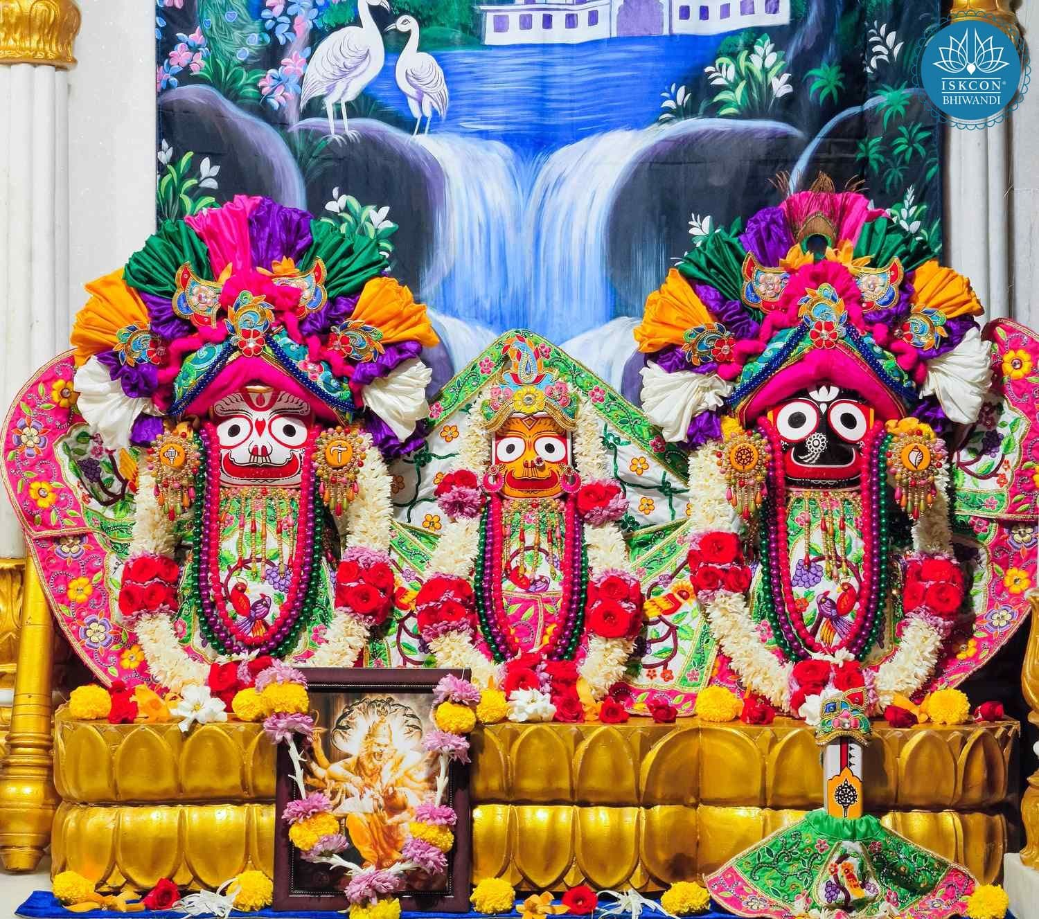 Sringar Darshan photo 2 of 12 — 9 February 2026
