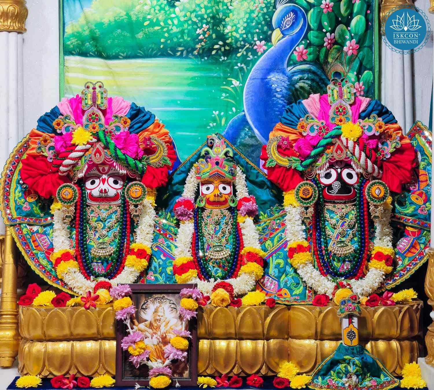 Sringar Darshan photo 2 of 12 — 11 February 2026