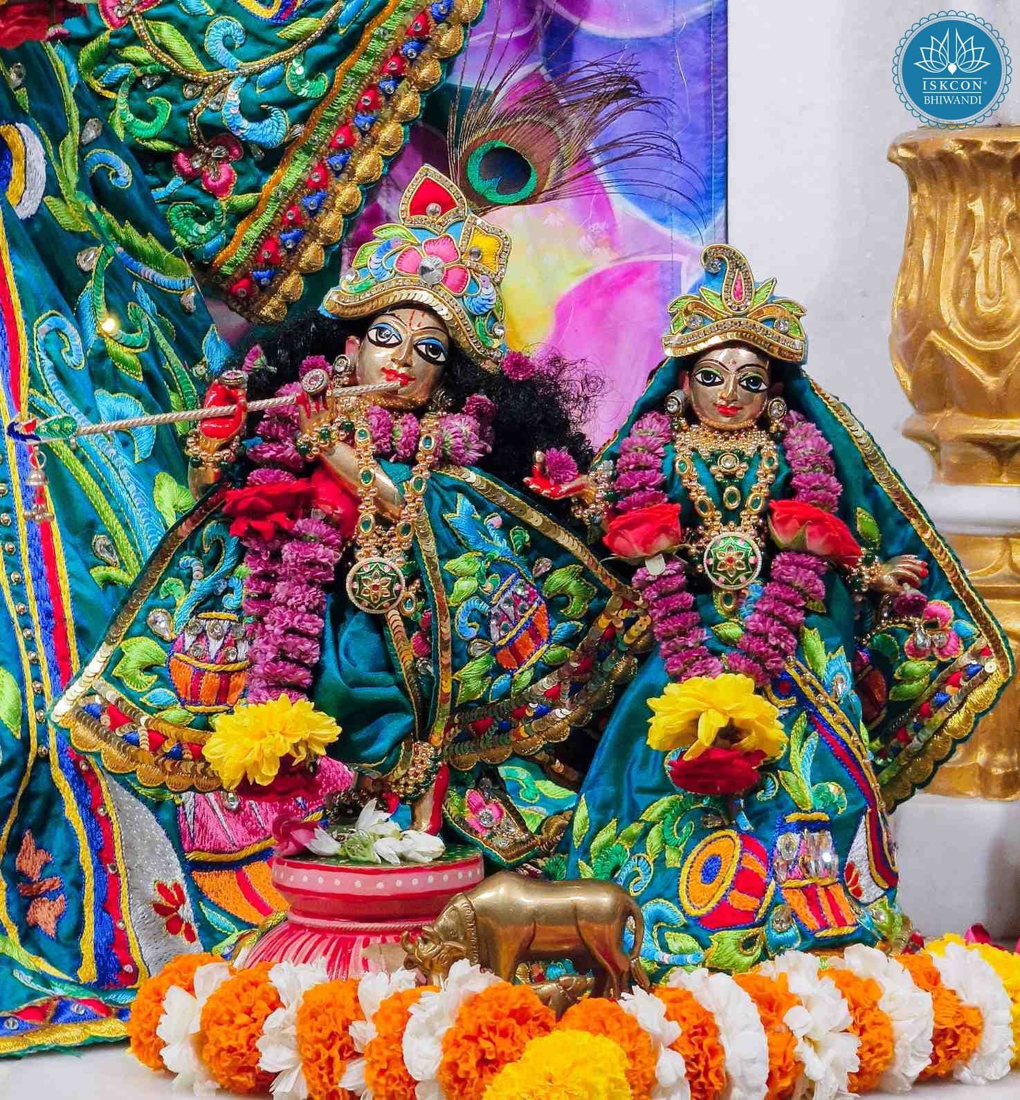 Sringar Darshan photo 10 of 12 — 11 February 2026