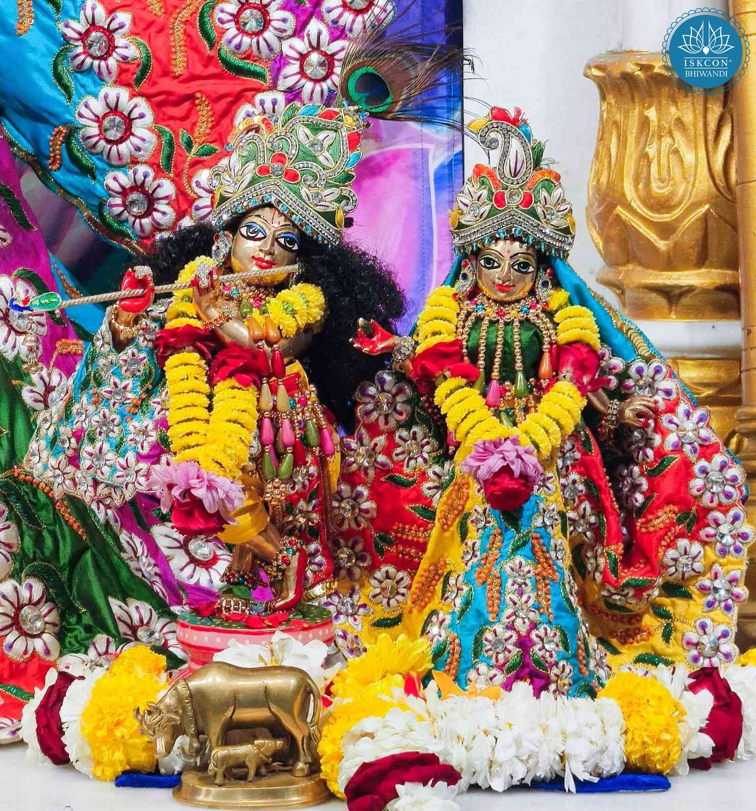 Sringar Darshan photo 11 of 12 — 12 February 2026