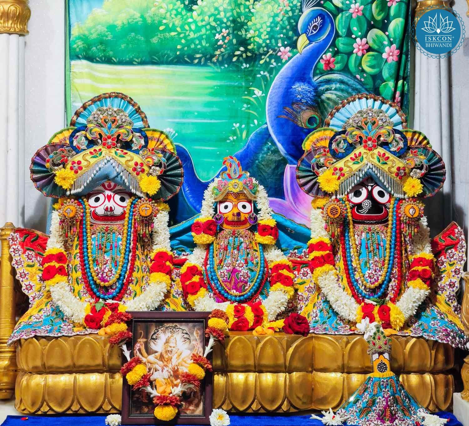 Sringar Darshan photo 3 of 12 — 12 February 2026