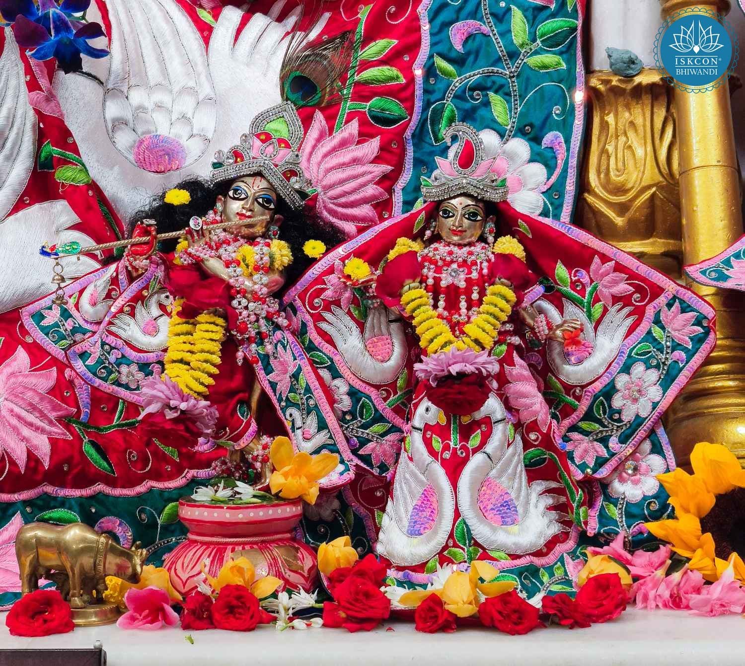 Sringar Darshan photo 9 of 12 — 13 February 2026