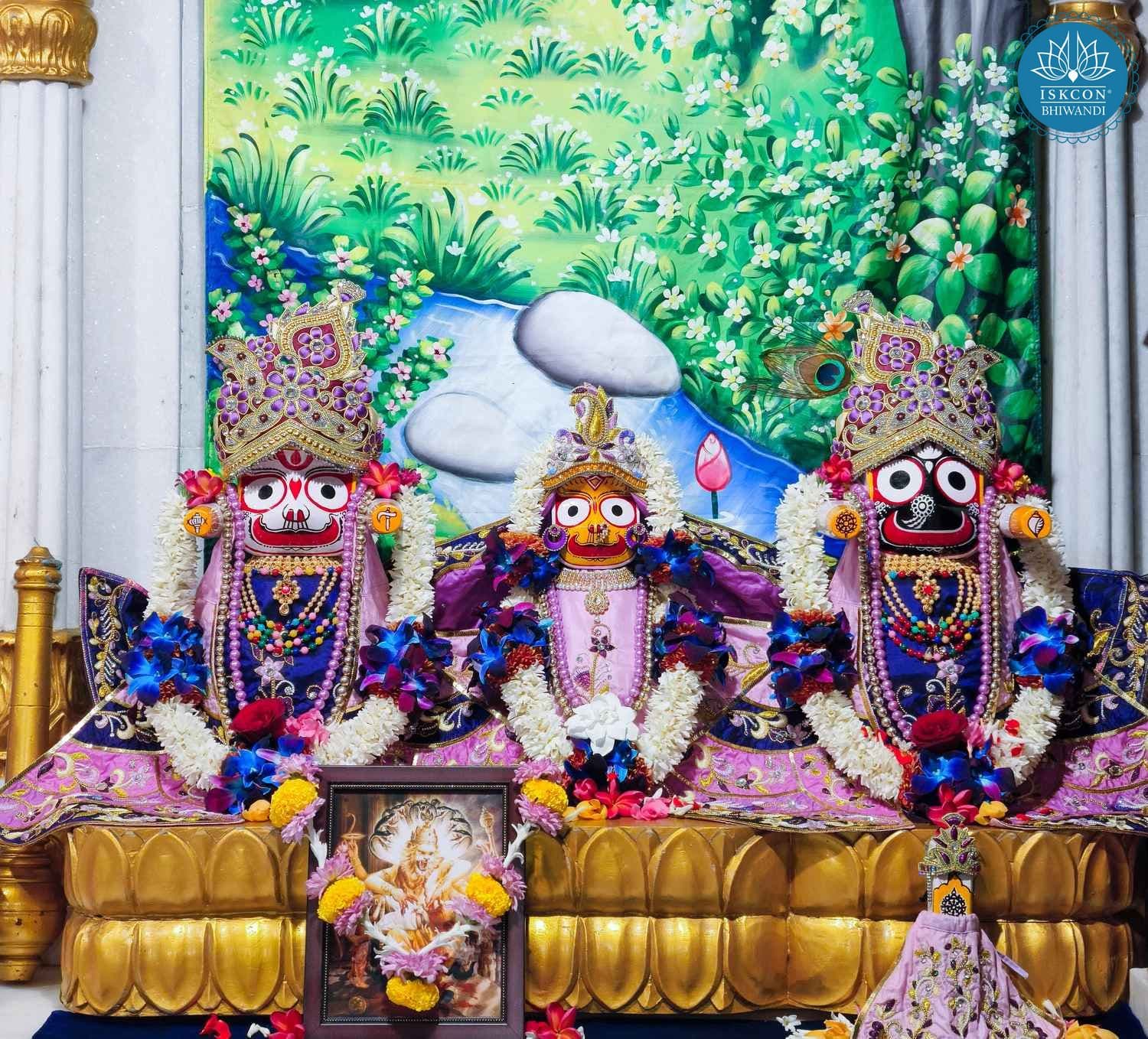 Sringar Darshan photo 2 of 12 — 14 February 2026