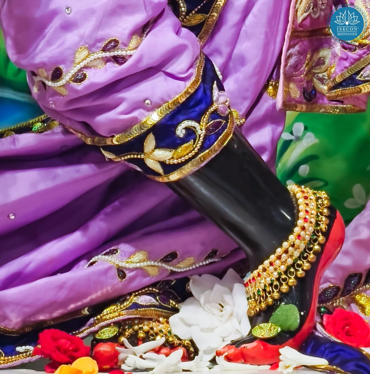 Sringar Darshan photo 4 of 12 — 14 February 2026