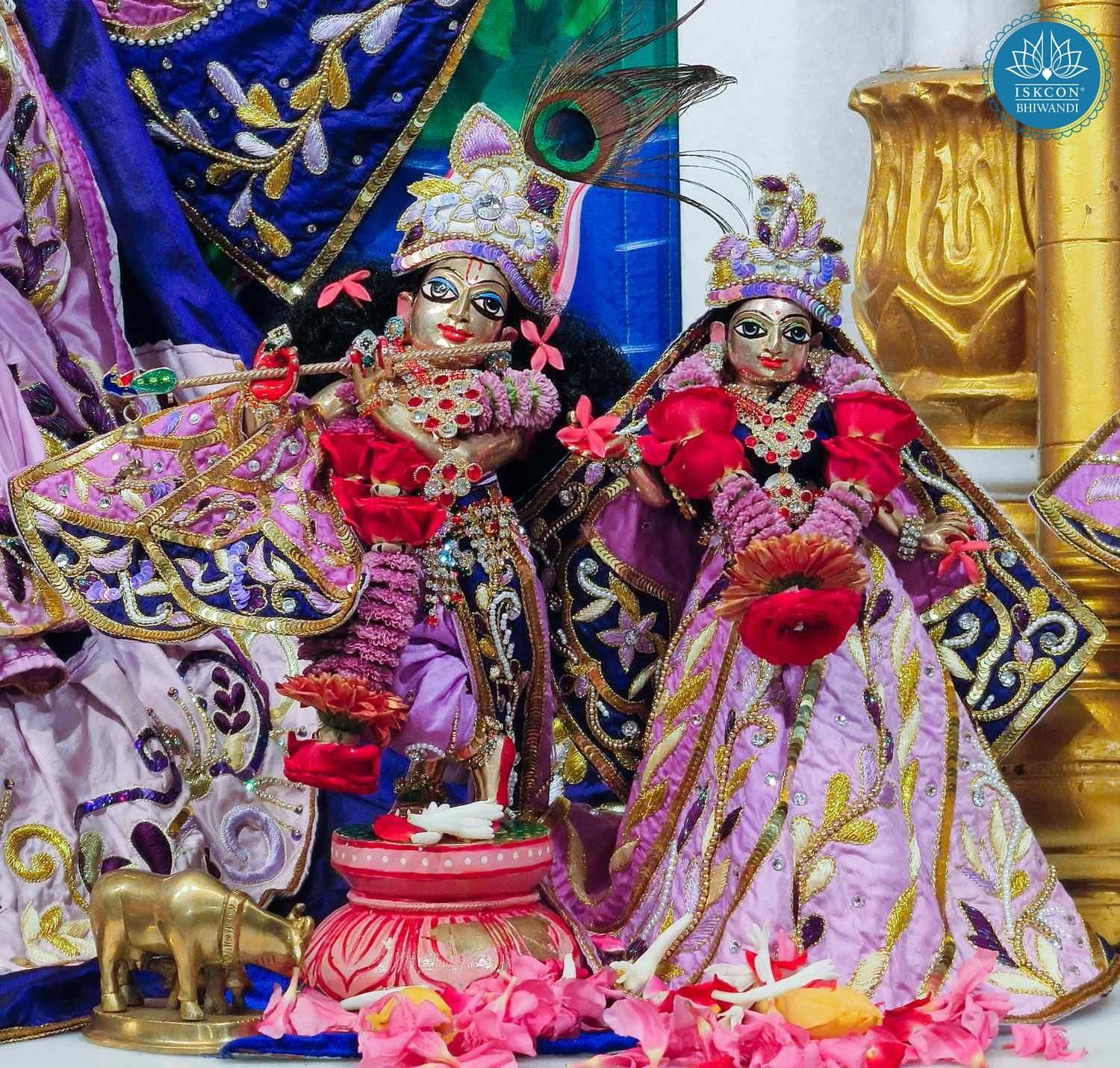Sringar Darshan photo 10 of 12 — 14 February 2026