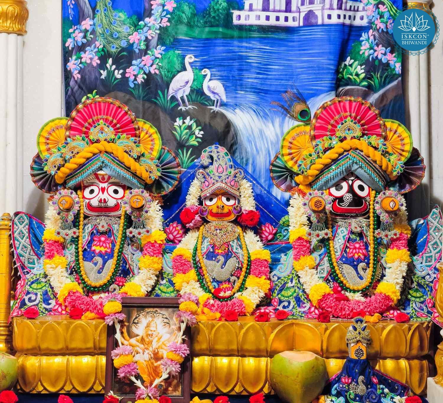Sringar Darshan photo 2 of 12 — 15 February 2026