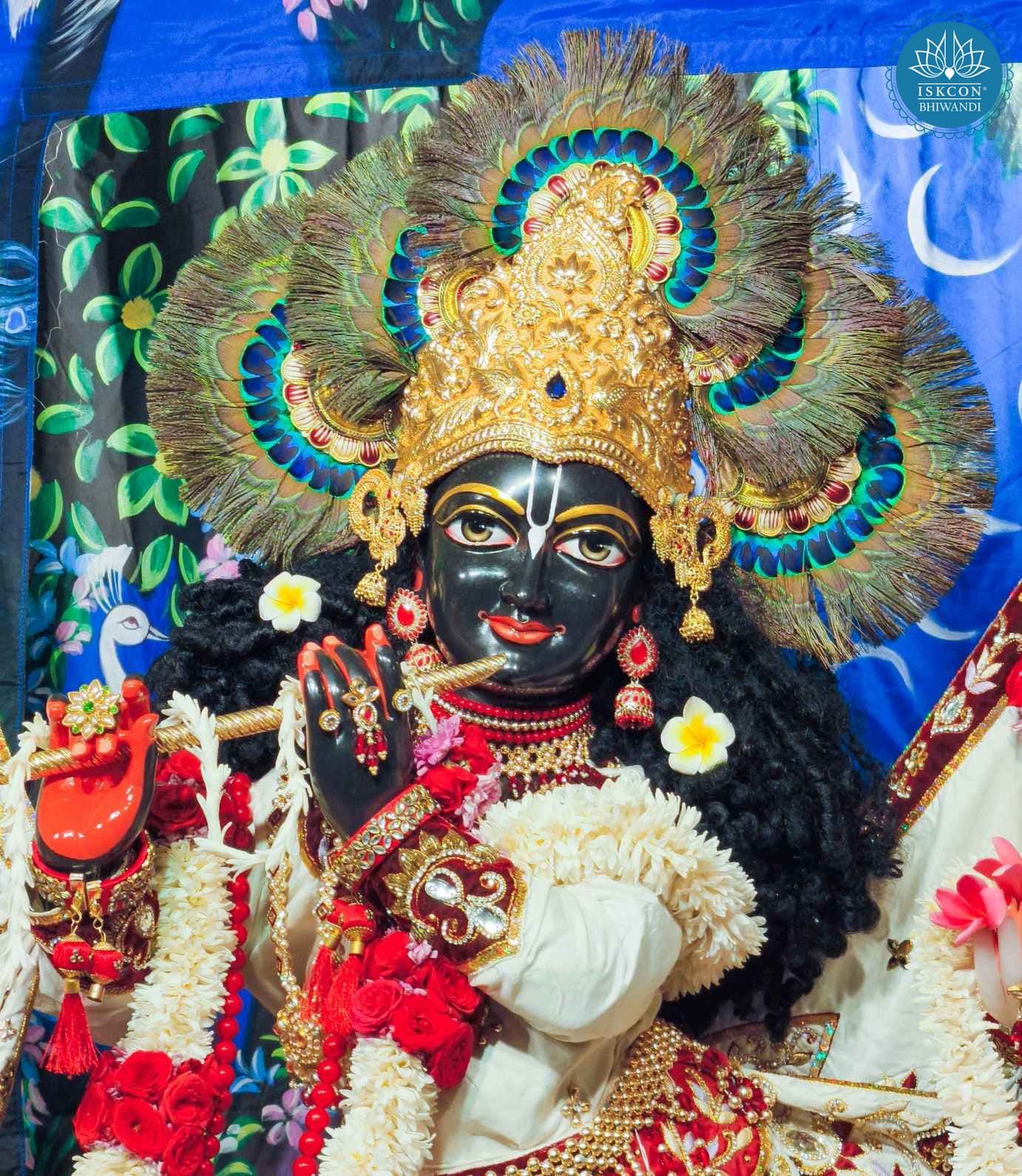 Sringar Darshan photo 11 of 12 — 16 February 2026