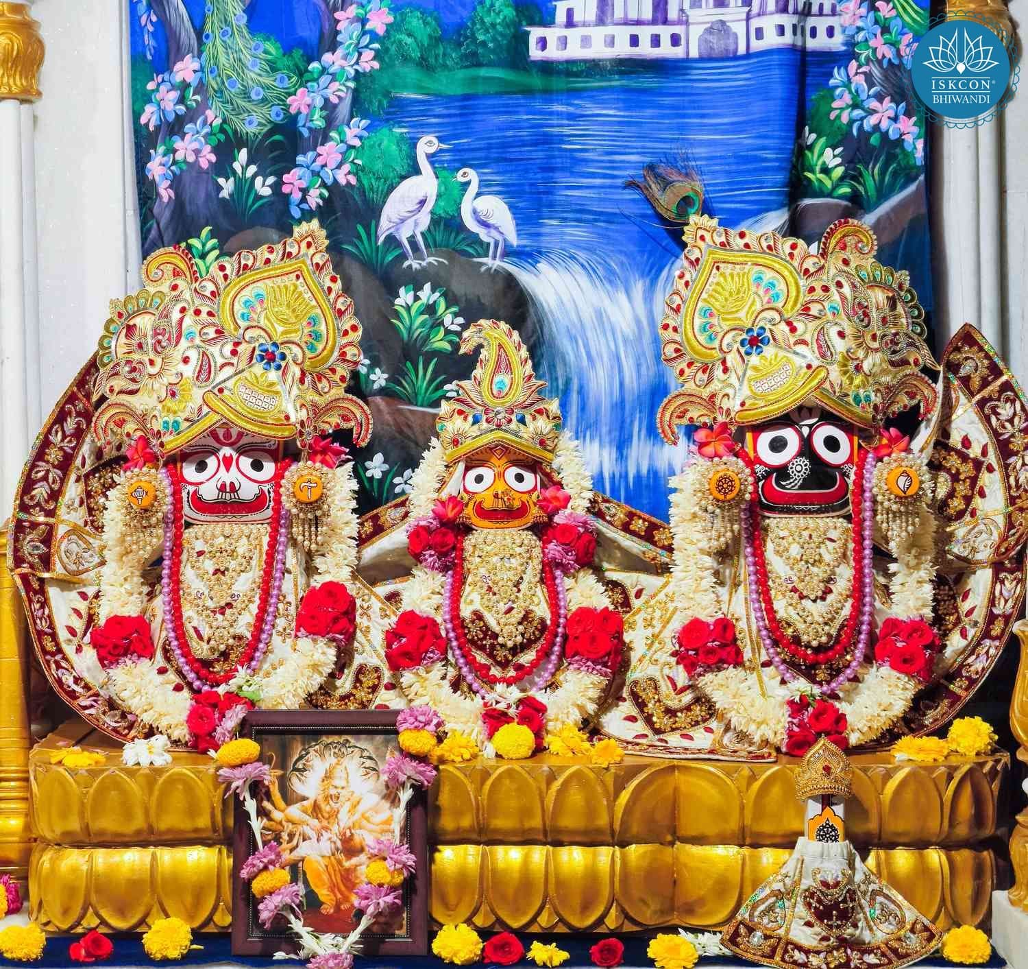 Sringar Darshan photo 4 of 12 — 16 February 2026