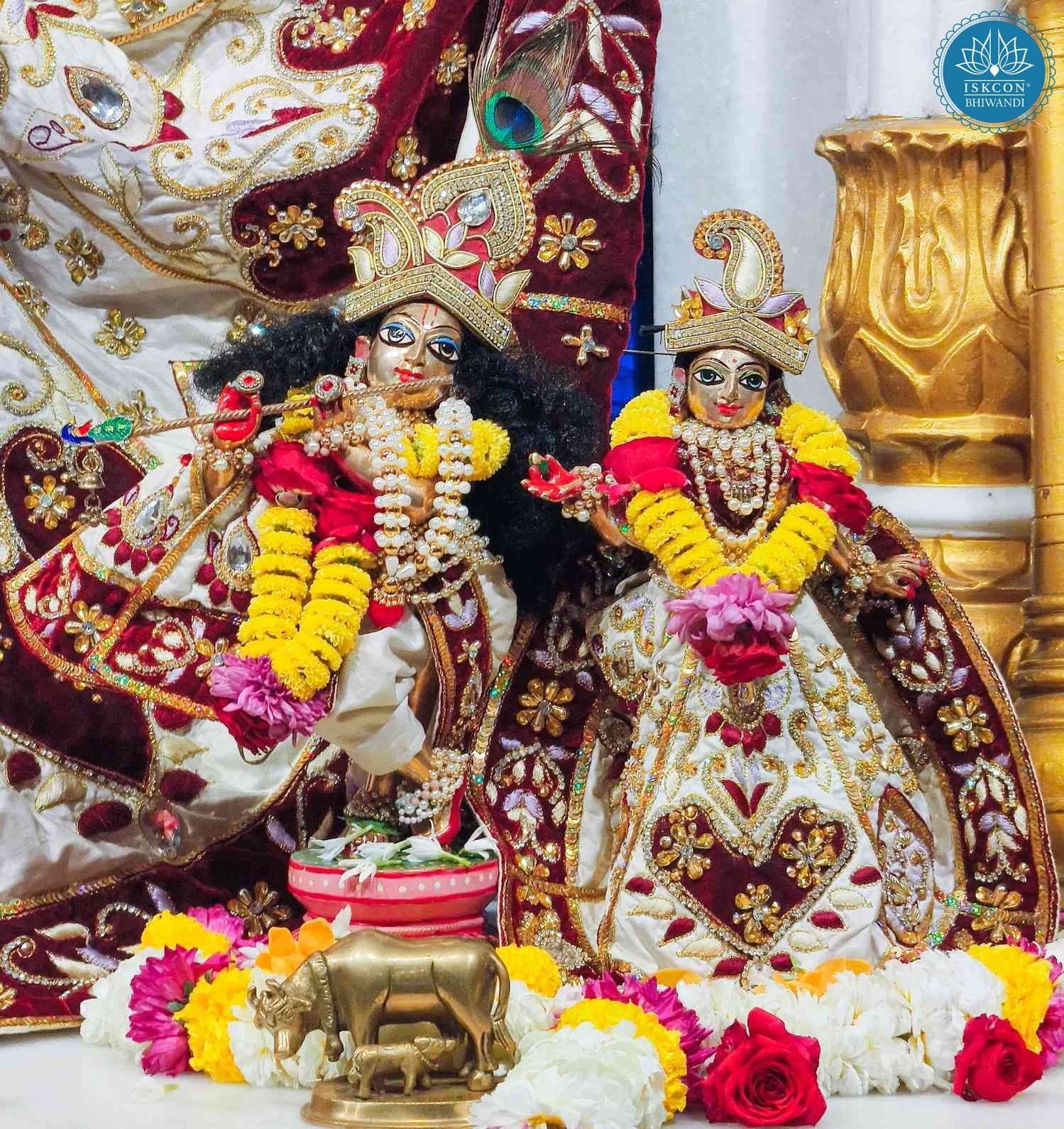 Sringar Darshan photo 10 of 12 — 16 February 2026