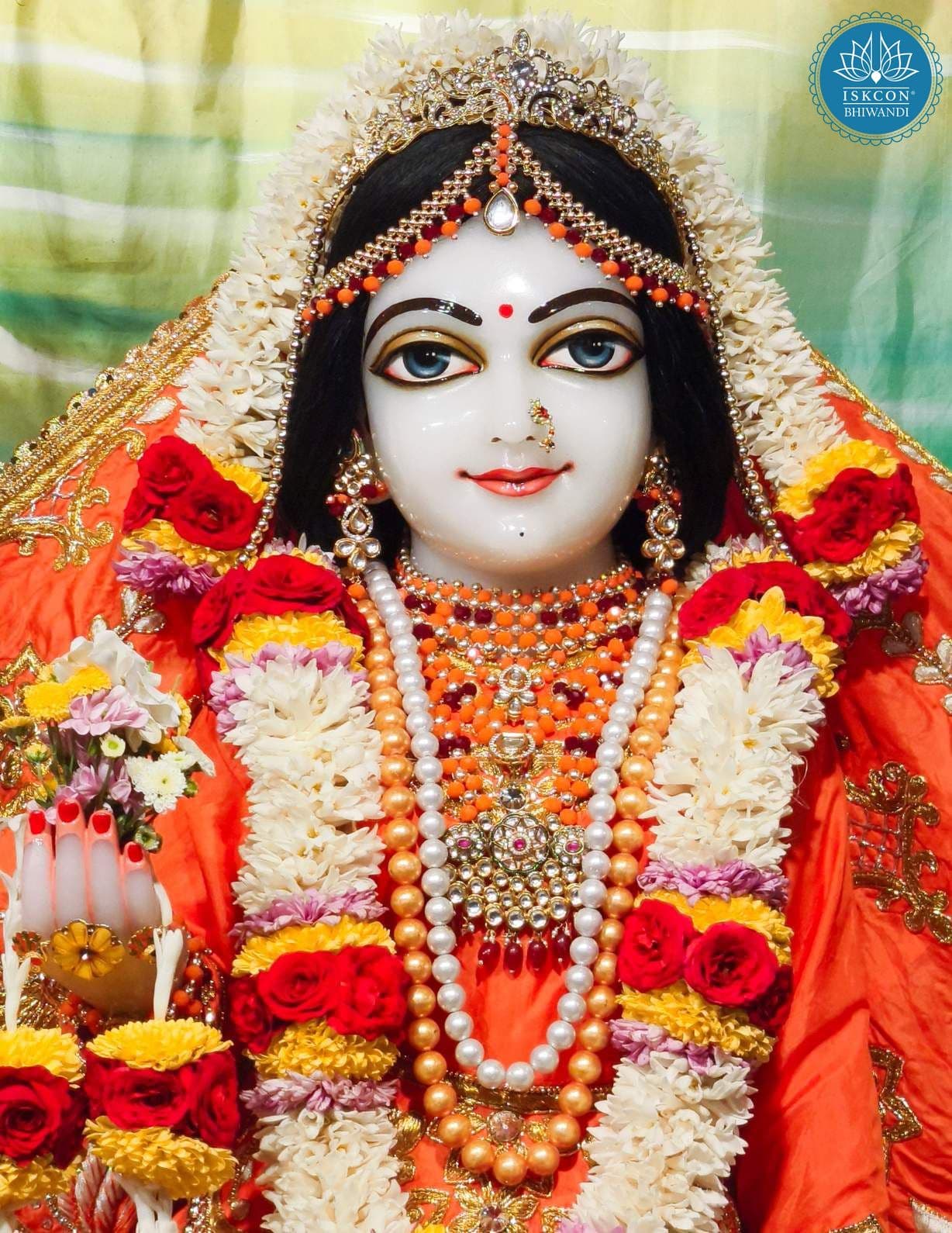 Sringar Darshan photo 12 of 12 — 17 February 2026