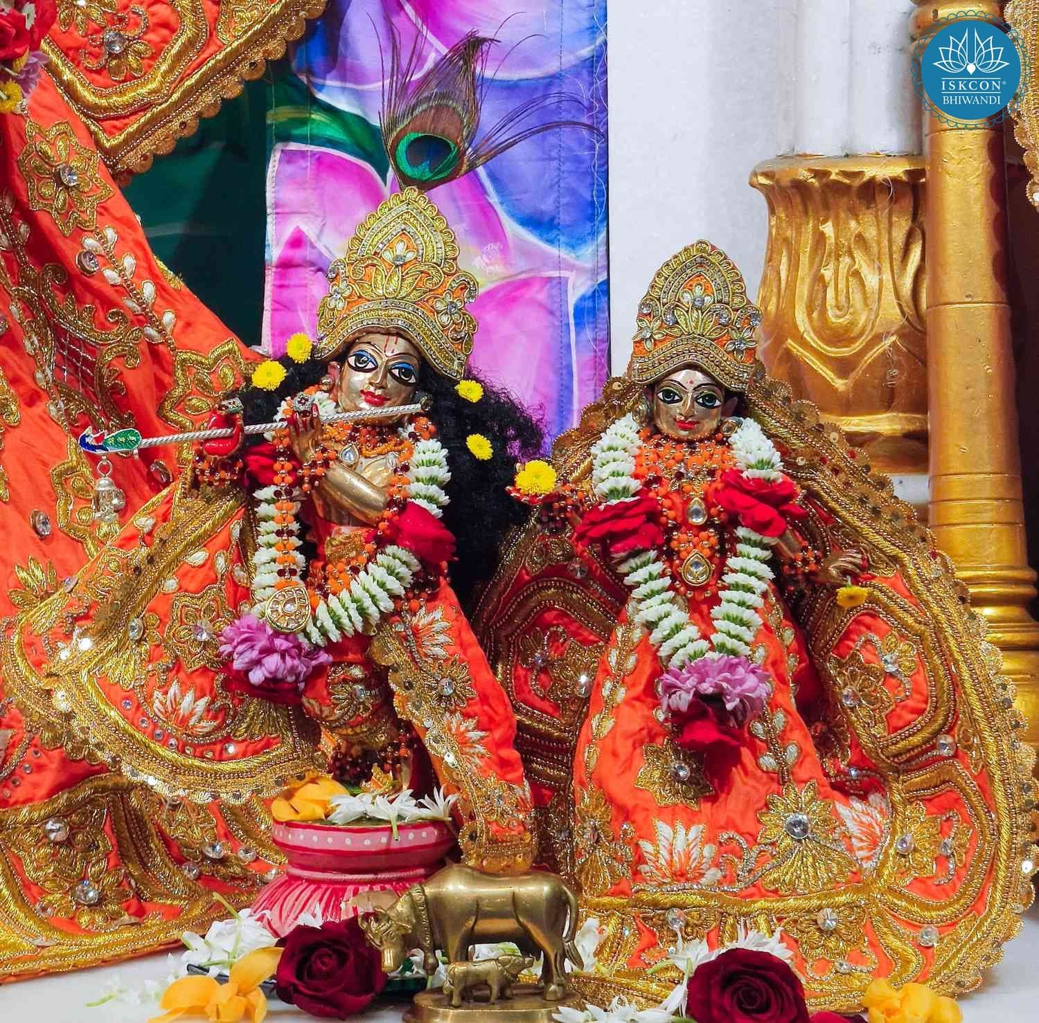 Sringar Darshan photo 10 of 12 — 17 February 2026