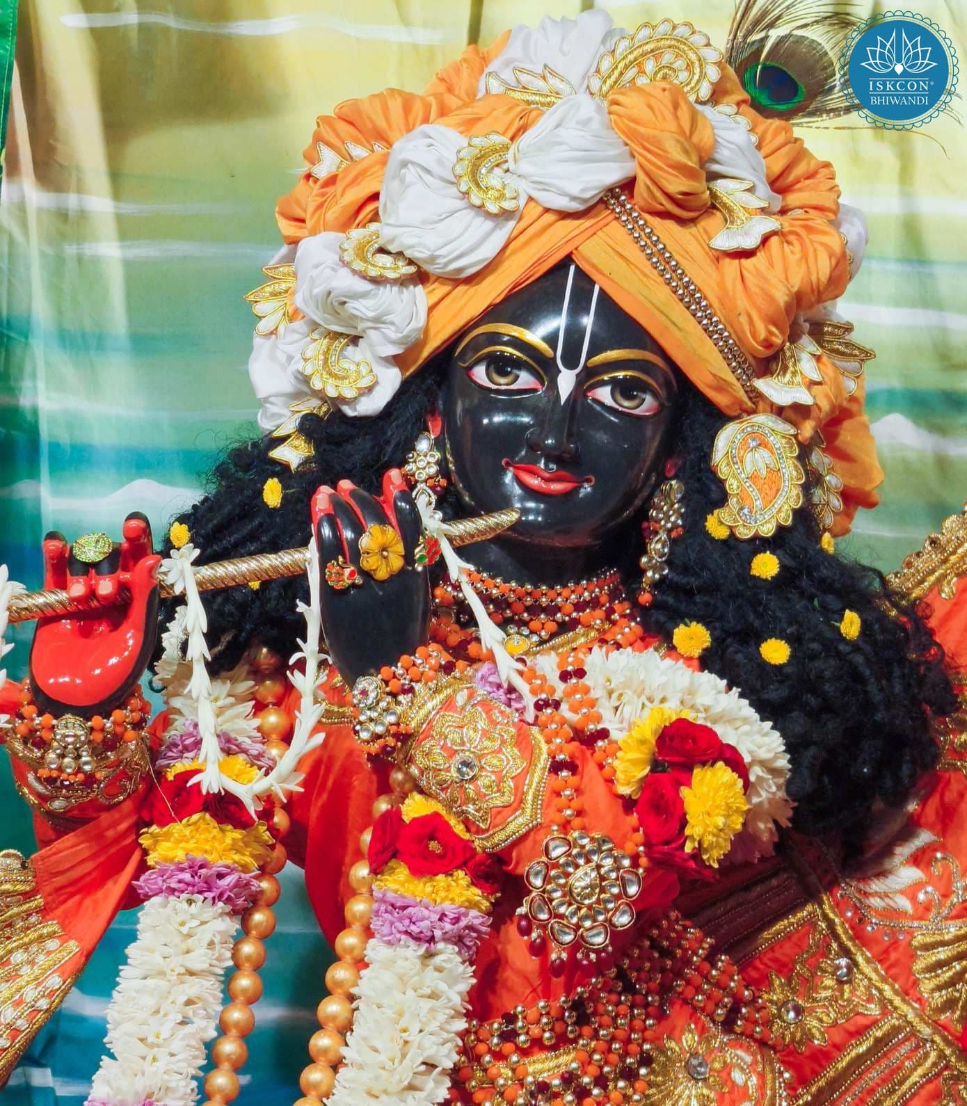 Sringar Darshan photo 11 of 12 — 17 February 2026