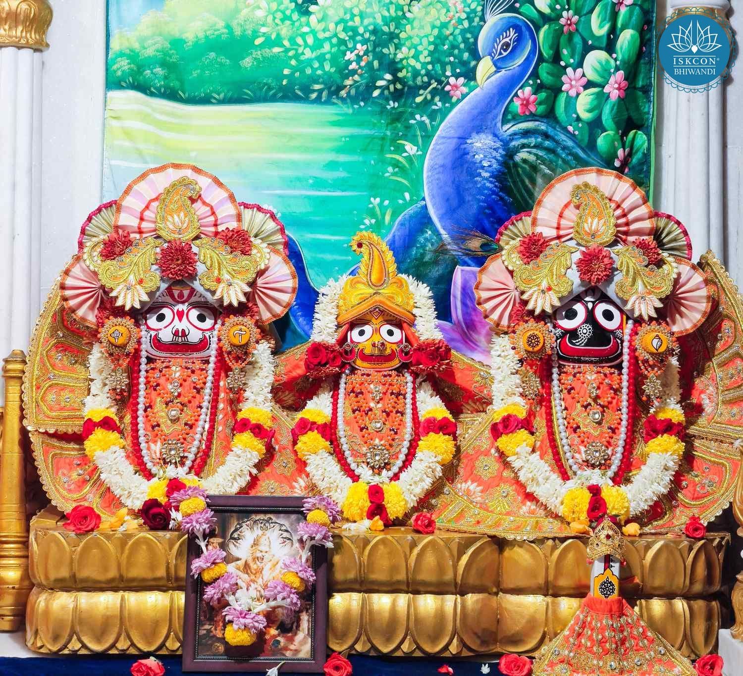 Sringar Darshan photo 2 of 12 — 17 February 2026