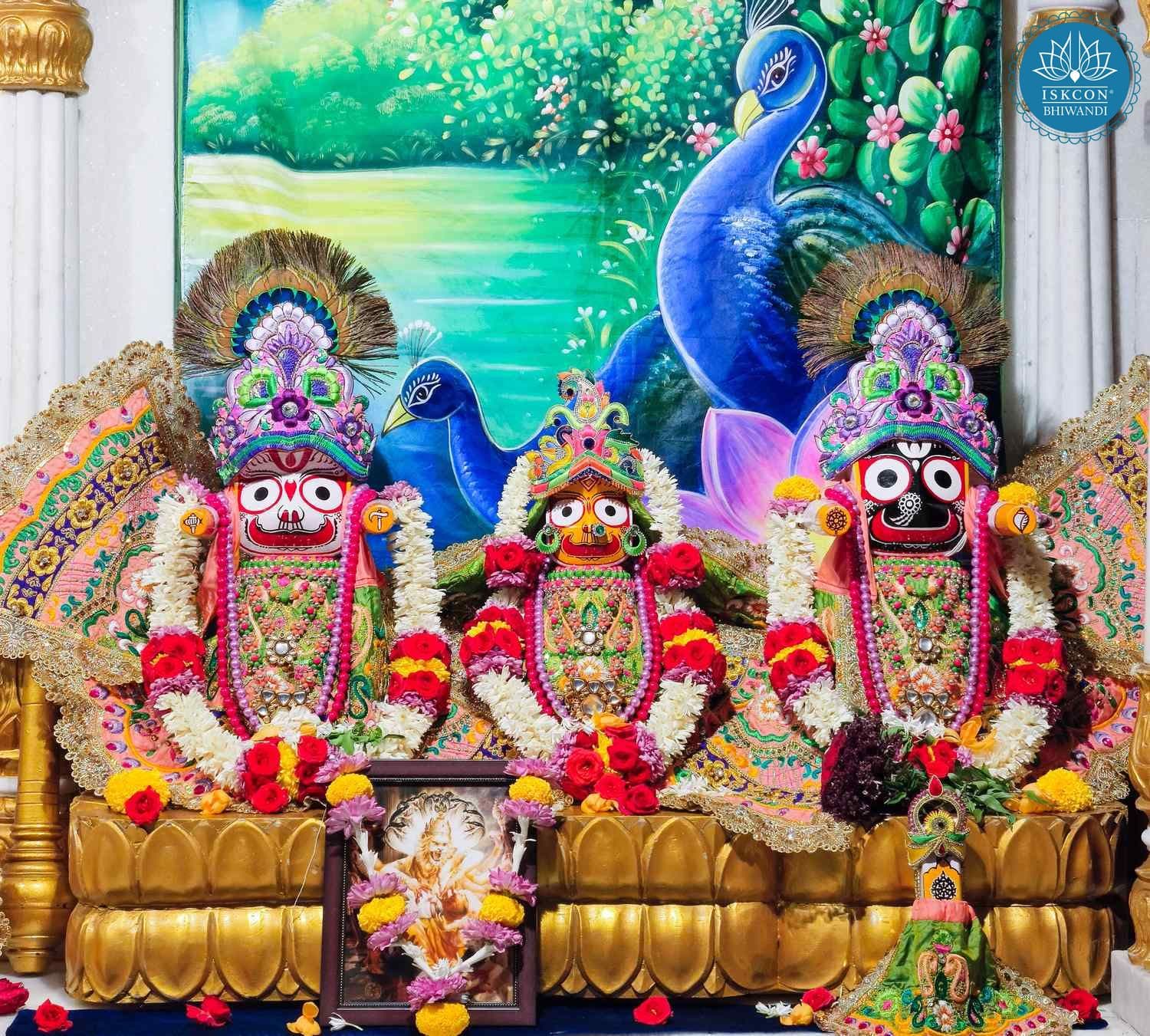 Sringar Darshan photo 4 of 12 — 18 February 2026