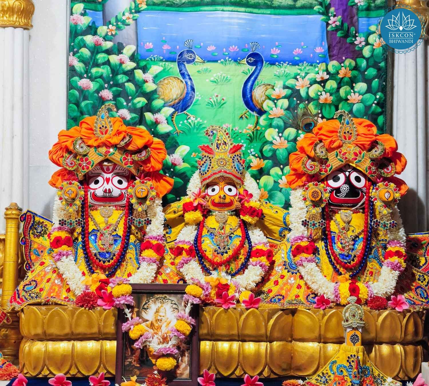 Sringar Darshan photo 2 of 12 — 19 February 2026