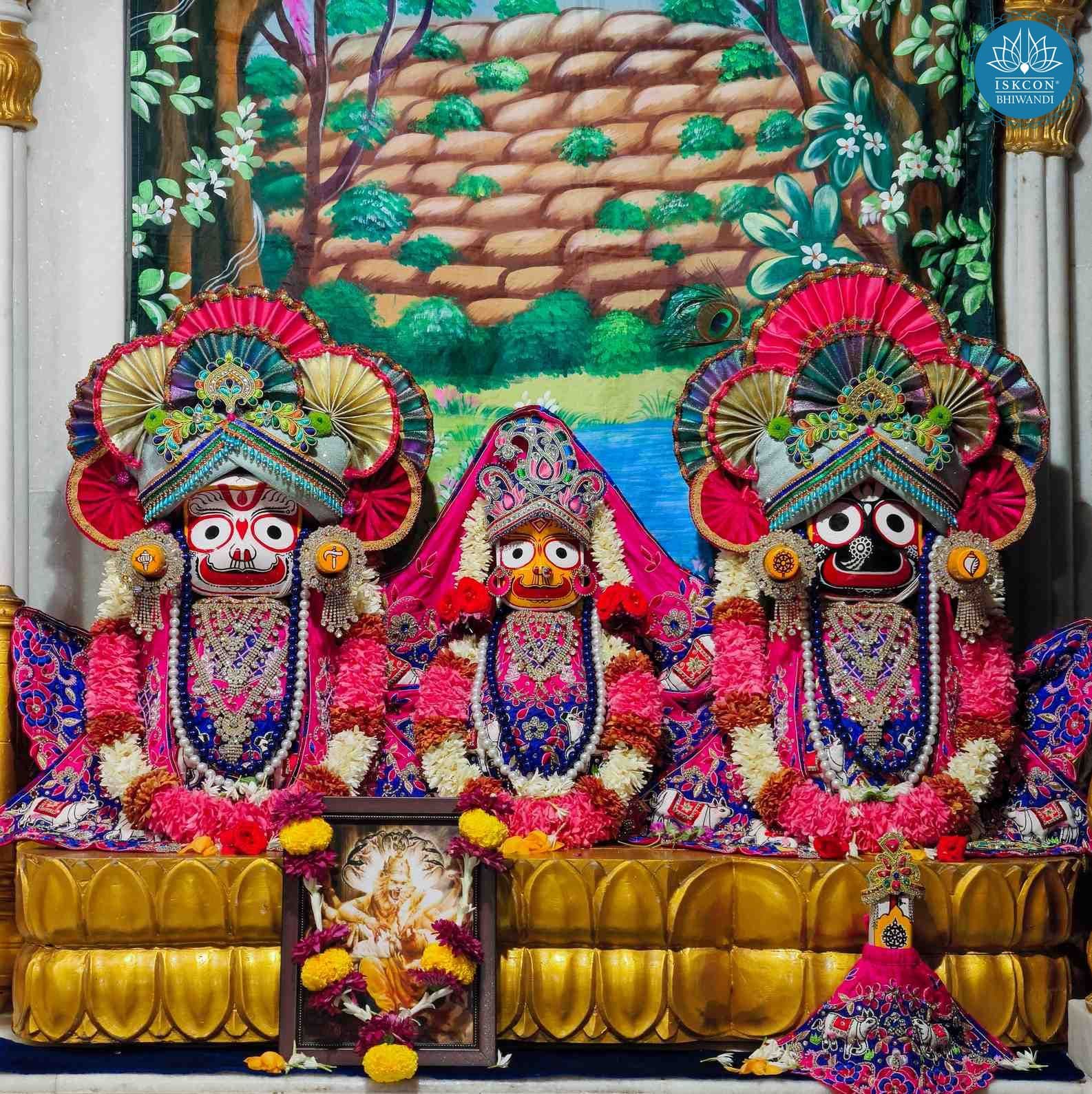 Sringar Darshan photo 2 of 12 — 20 February 2026